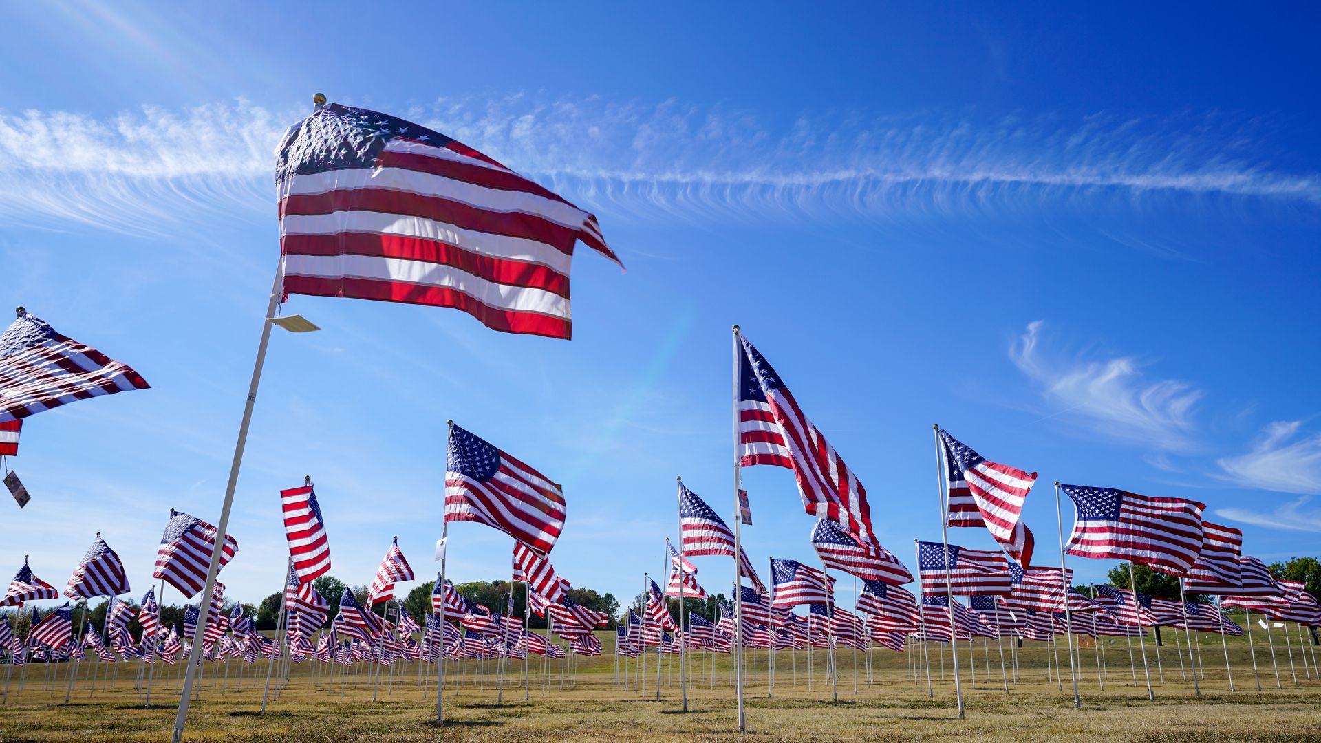 Field of flags against a blue sky background at a park in Plano, Texas. Image from Adobe Stock