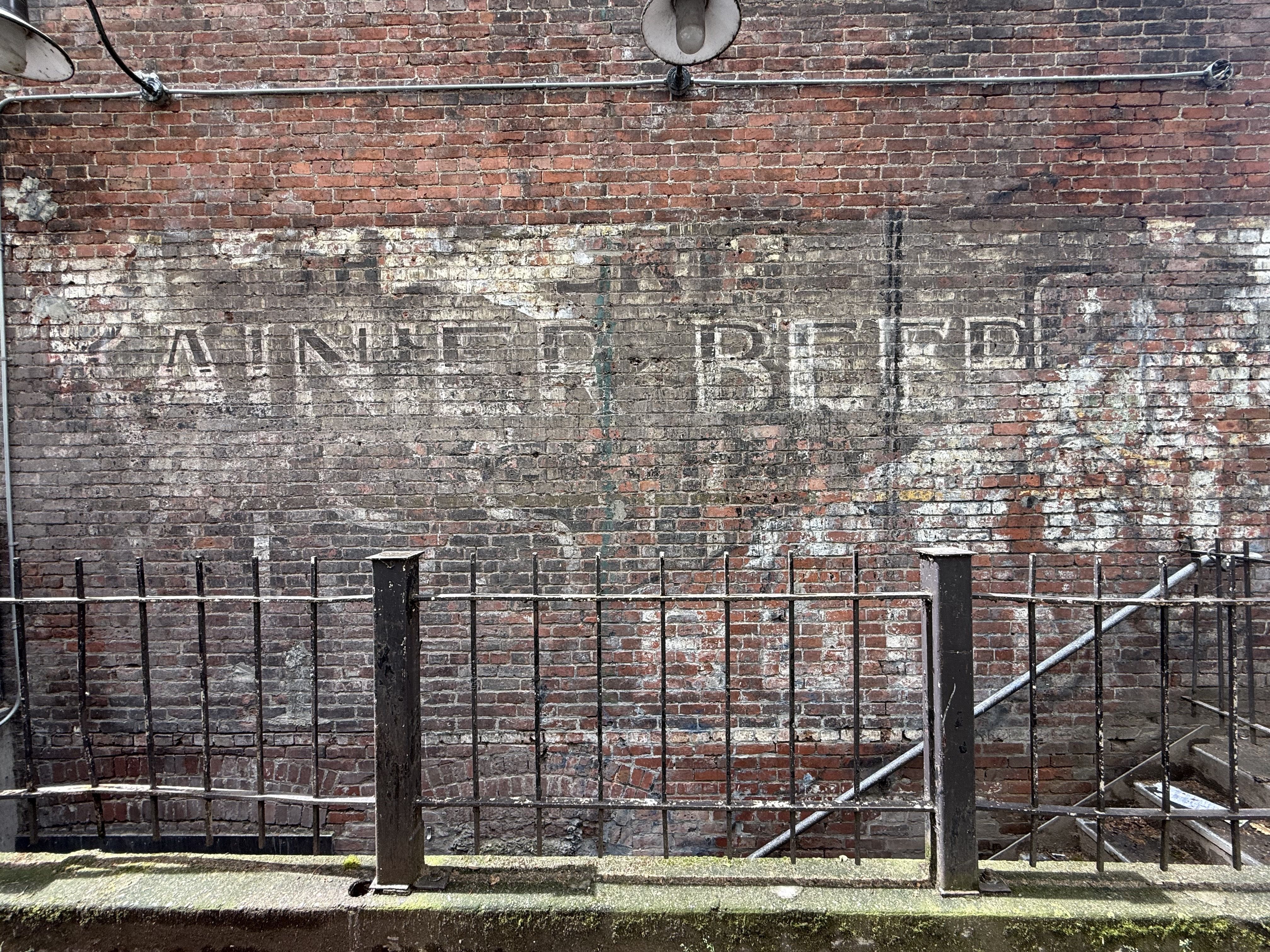 Weathered red brick wall with faded white lettering reading "Rainier Beer" along the lower half. A black metal railing spans the foreground, with a mossy concrete base and exposed pipes running horizontally across the wall.