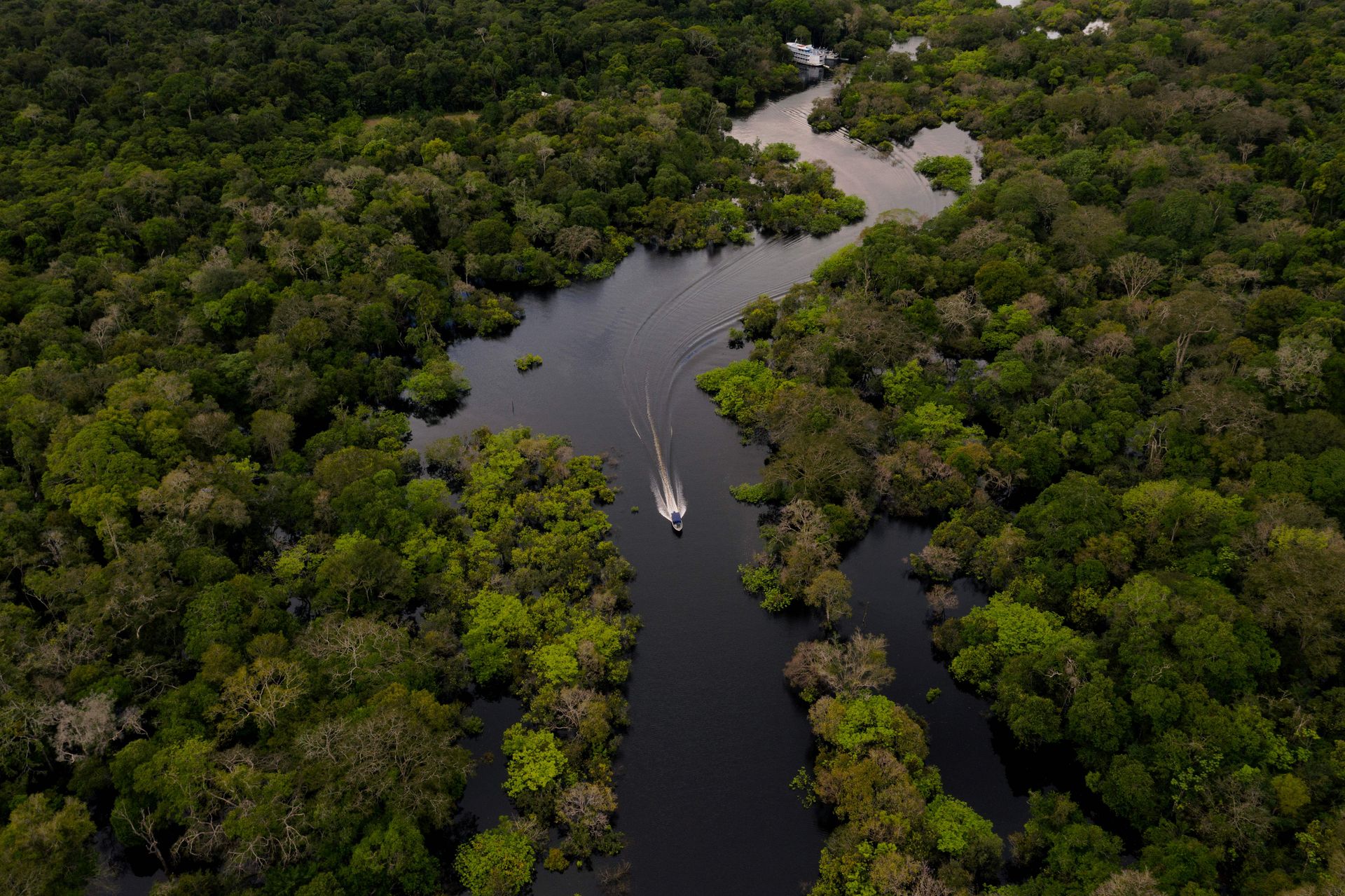 Amazon Rainforest Deforestation In Brazil Jumps Amid Covid 19 Crisis Axios