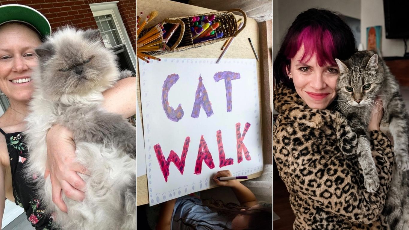 Pittsburgh is getting its first cat tour