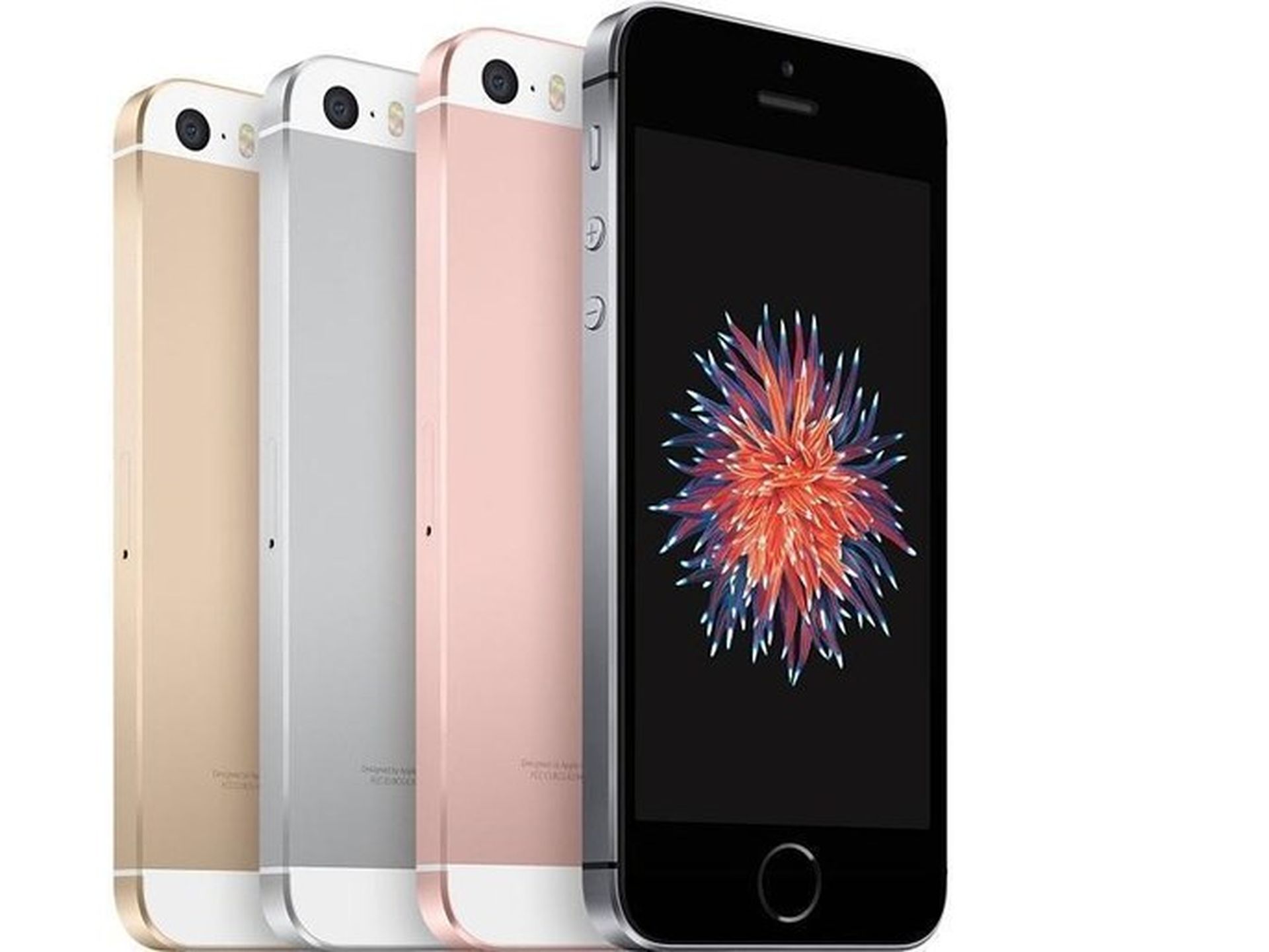 Apple Confirms It Has Started Iphone Production In India