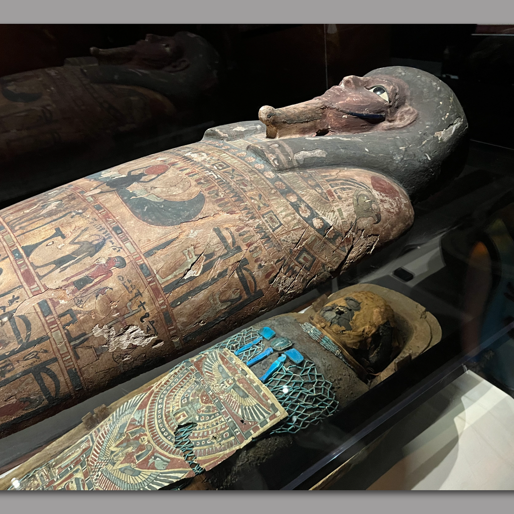 Mummies in Miami: Over 40 mummified humans and animals at