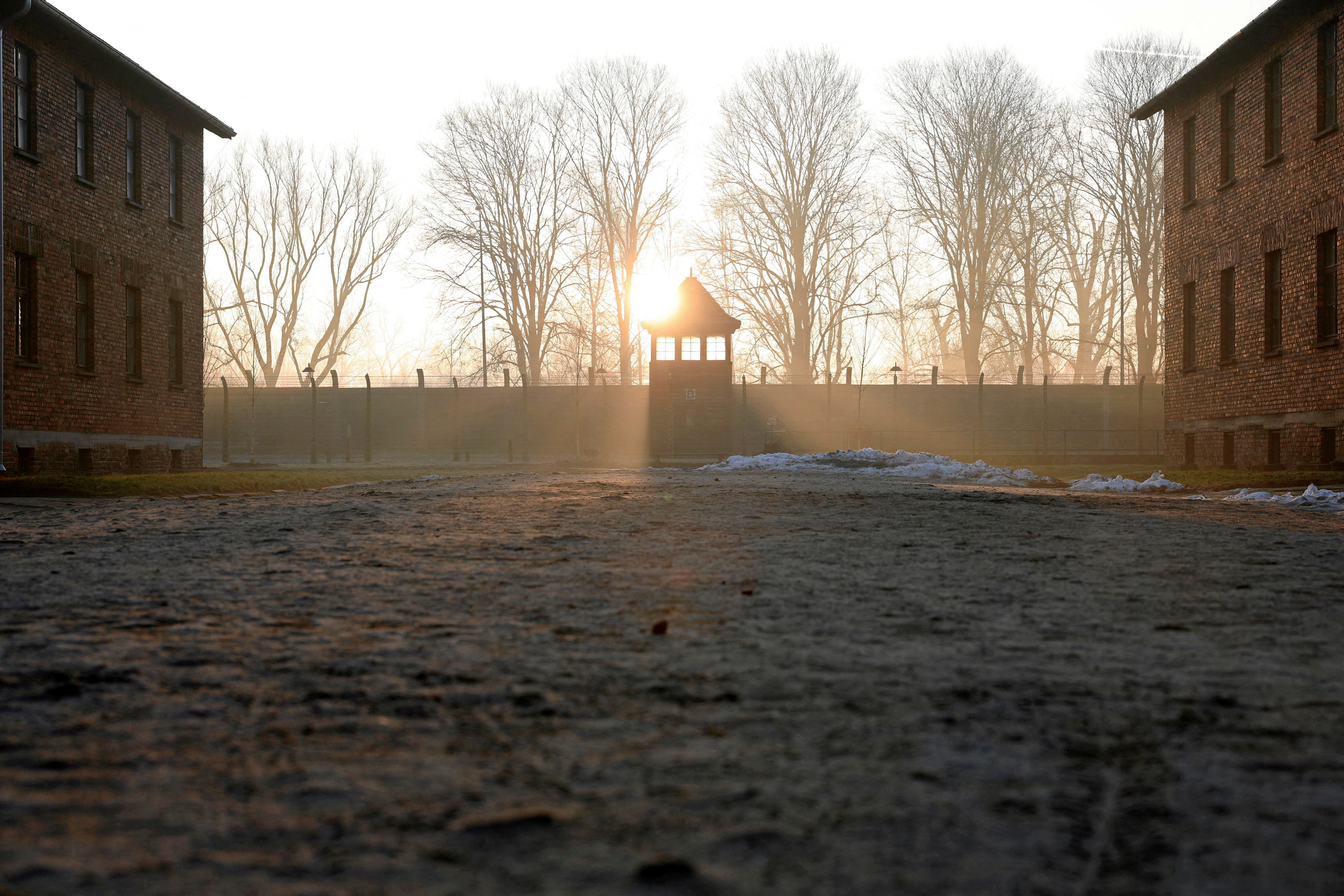 The sun shines through trees by a guard tower at the former extermination camp in Oswiecim, Poland, today. Photo: Agencja Wyborcza.pl/Grzegorz Celejewski via Reuters