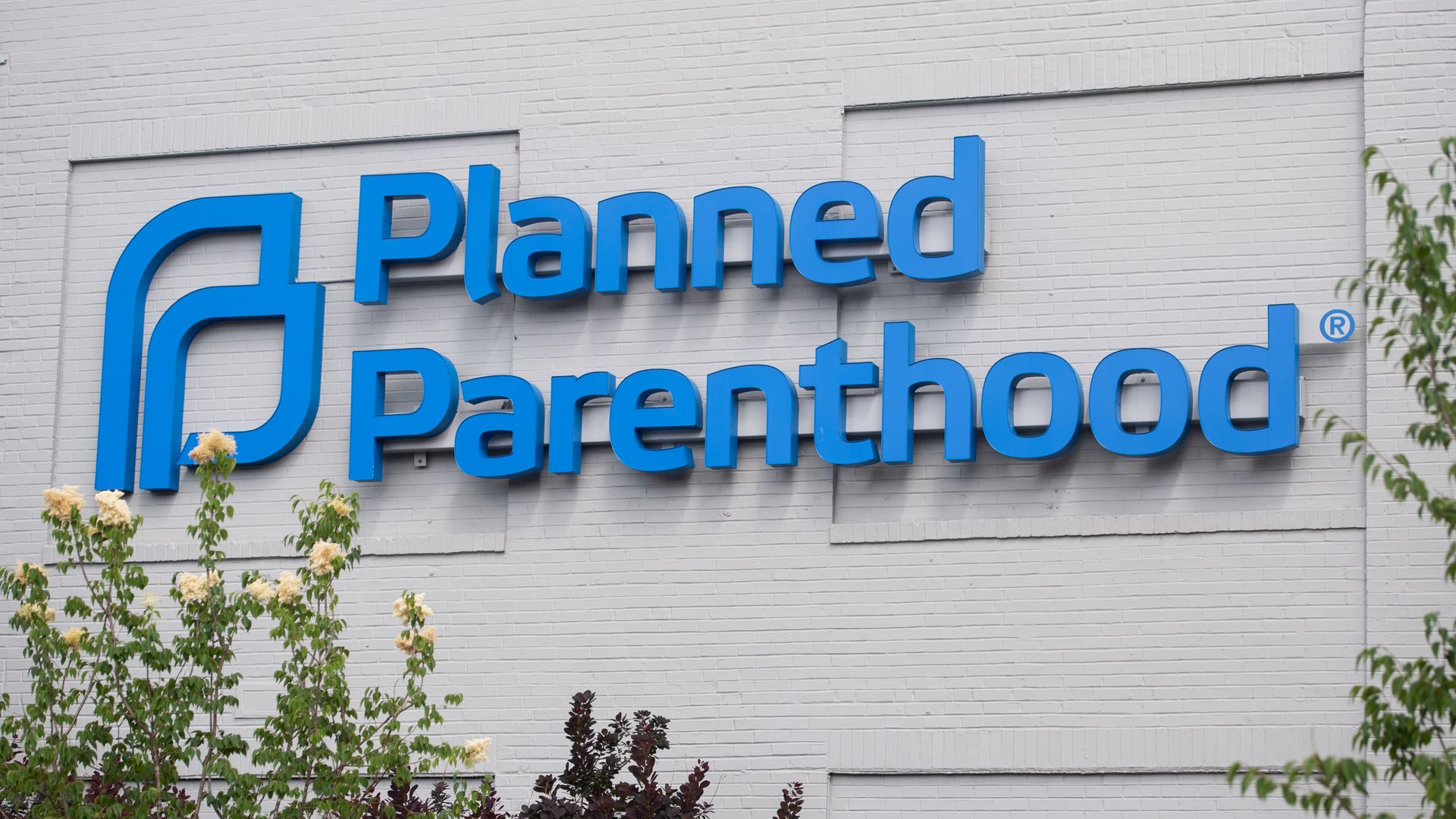 Planned parenthood logo