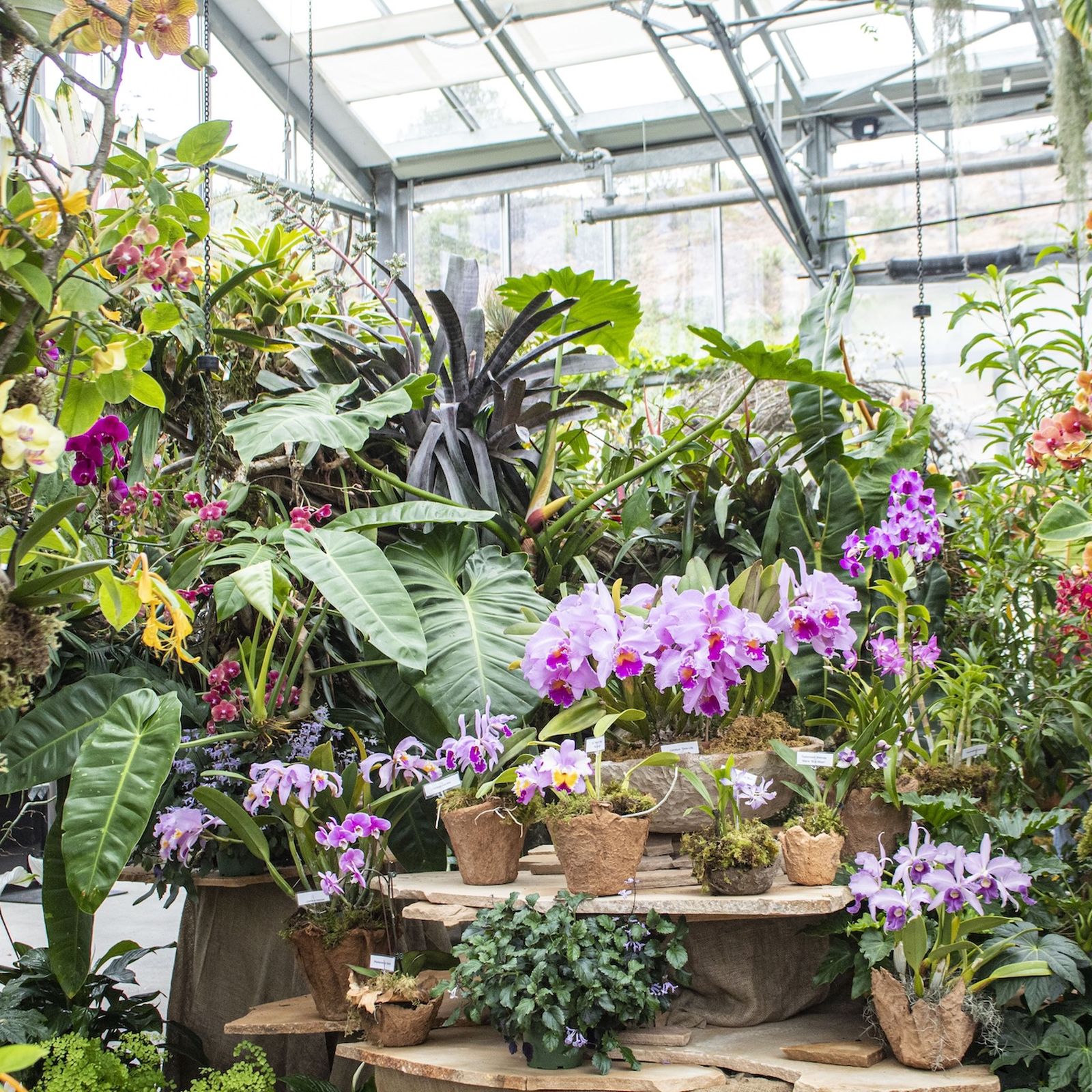 10 ways to celebrate Mother's Day weekend around San Diego - Axios