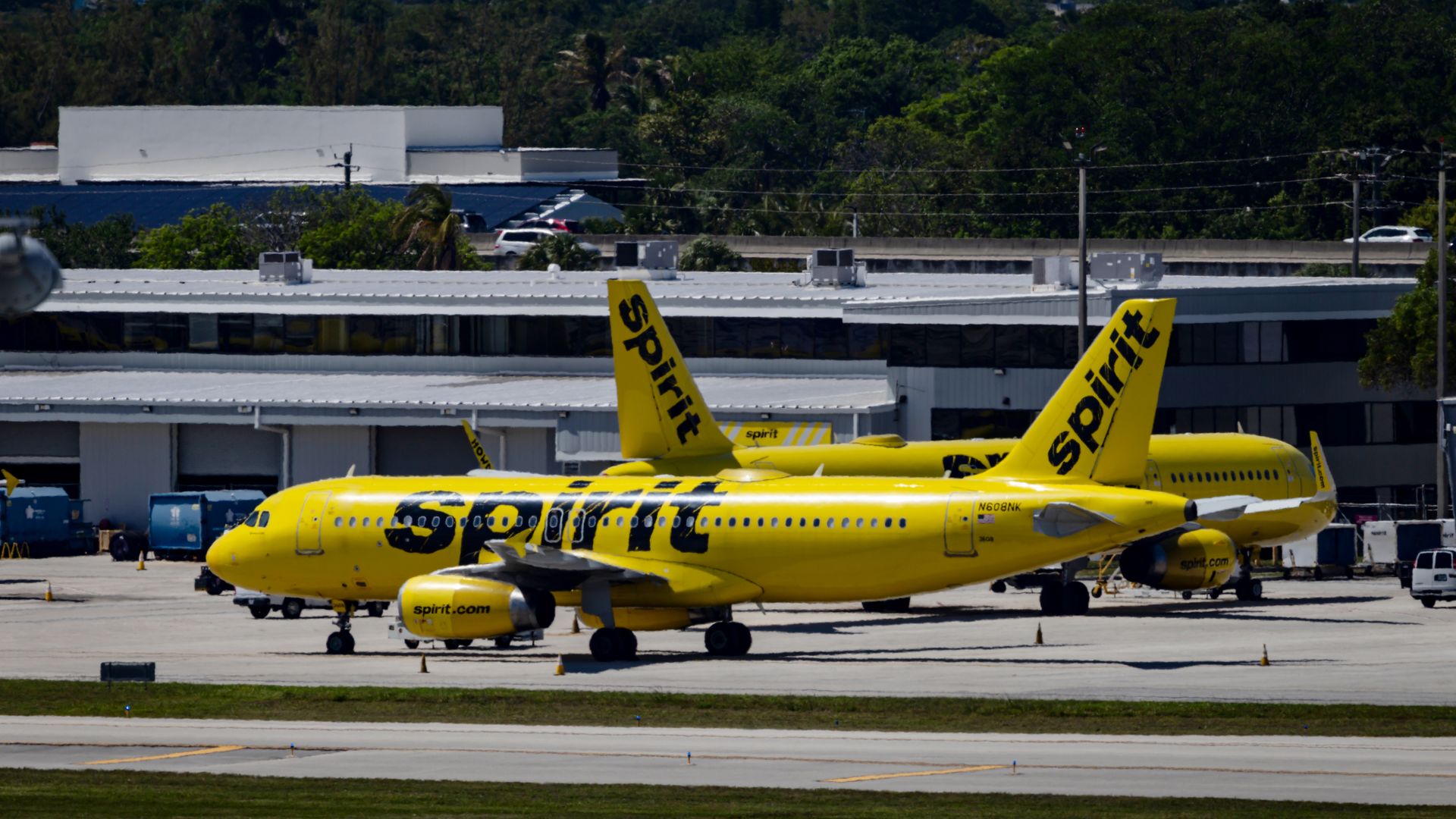 Bright yellow Spirit Airlines planes parked at a sunny airport tarmac, with white buildings, green trees in the background, and a blue sky.