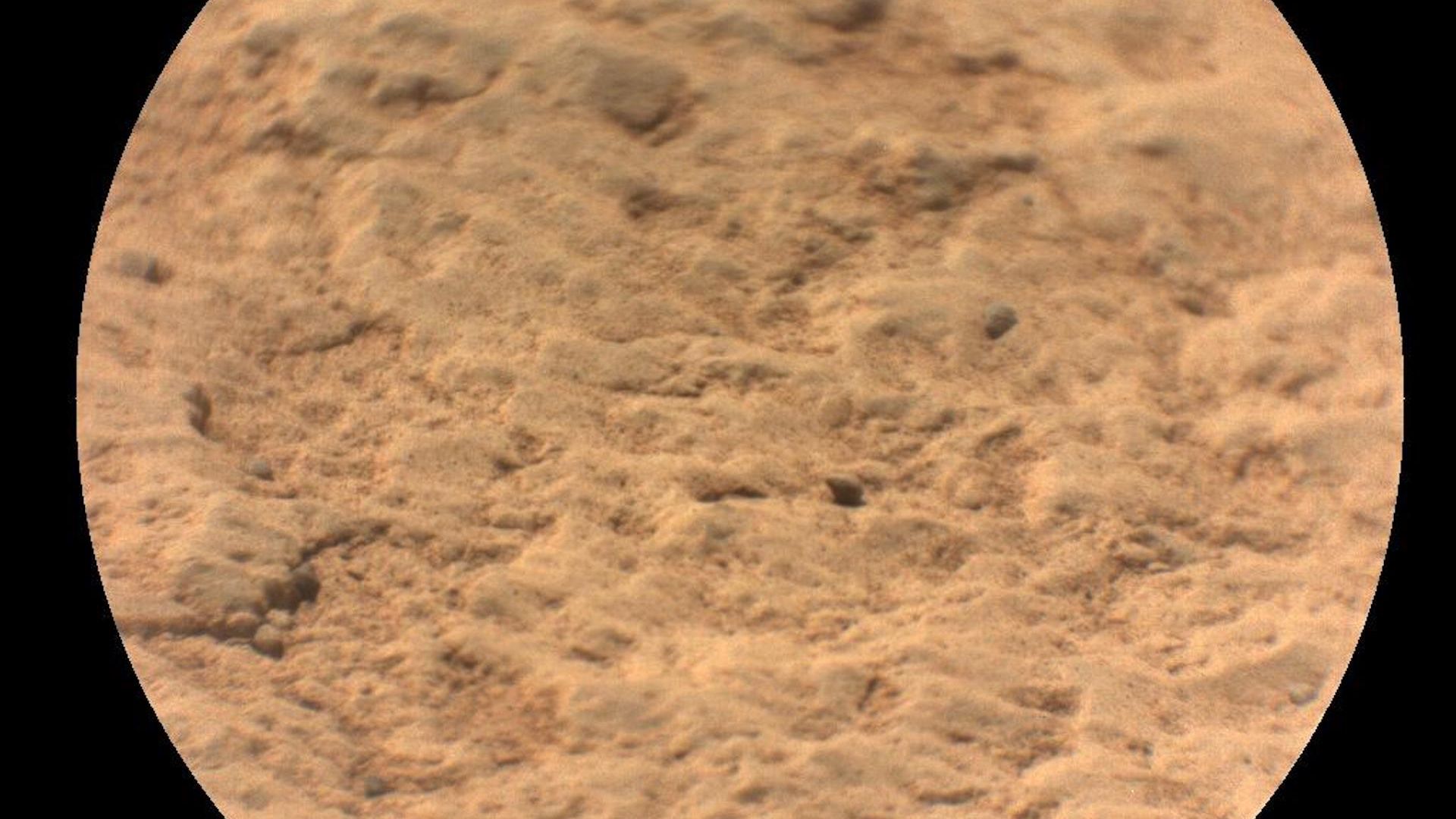 A reddish brown rock seen in closeup with crags and cracks on Mars