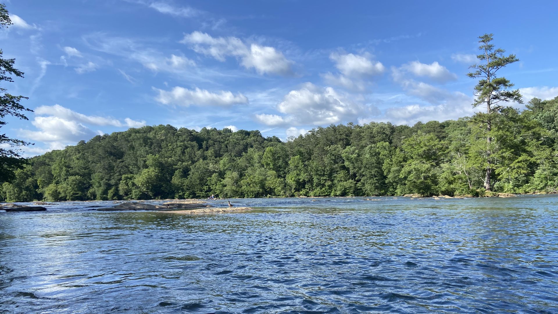 A photo of a wide blue river dotted with shoals with a dense green forest on the banks in the background.