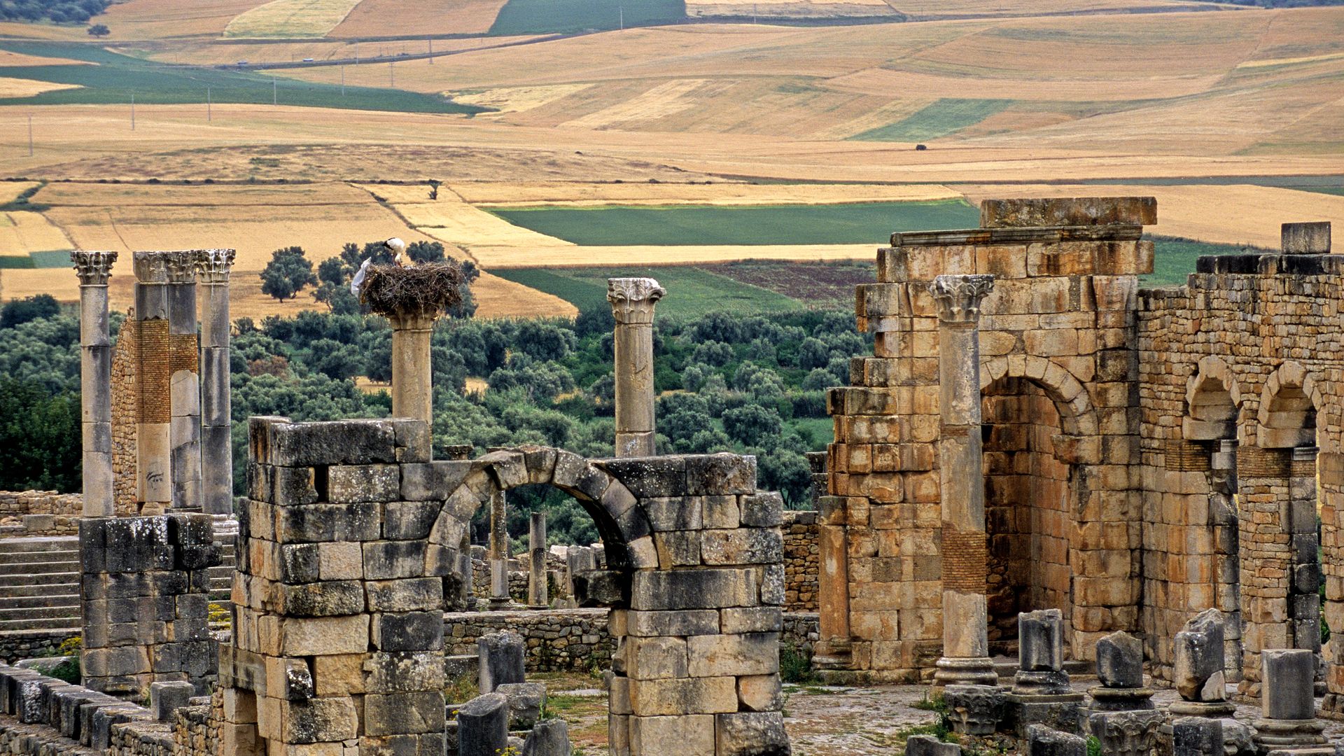 The ruins of Volubilis.