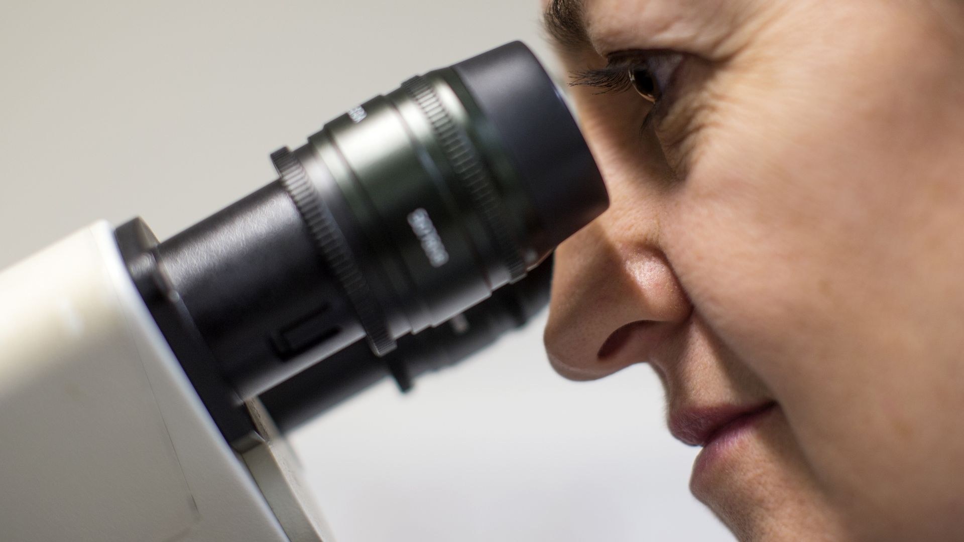 A scientist looks through a microscope.