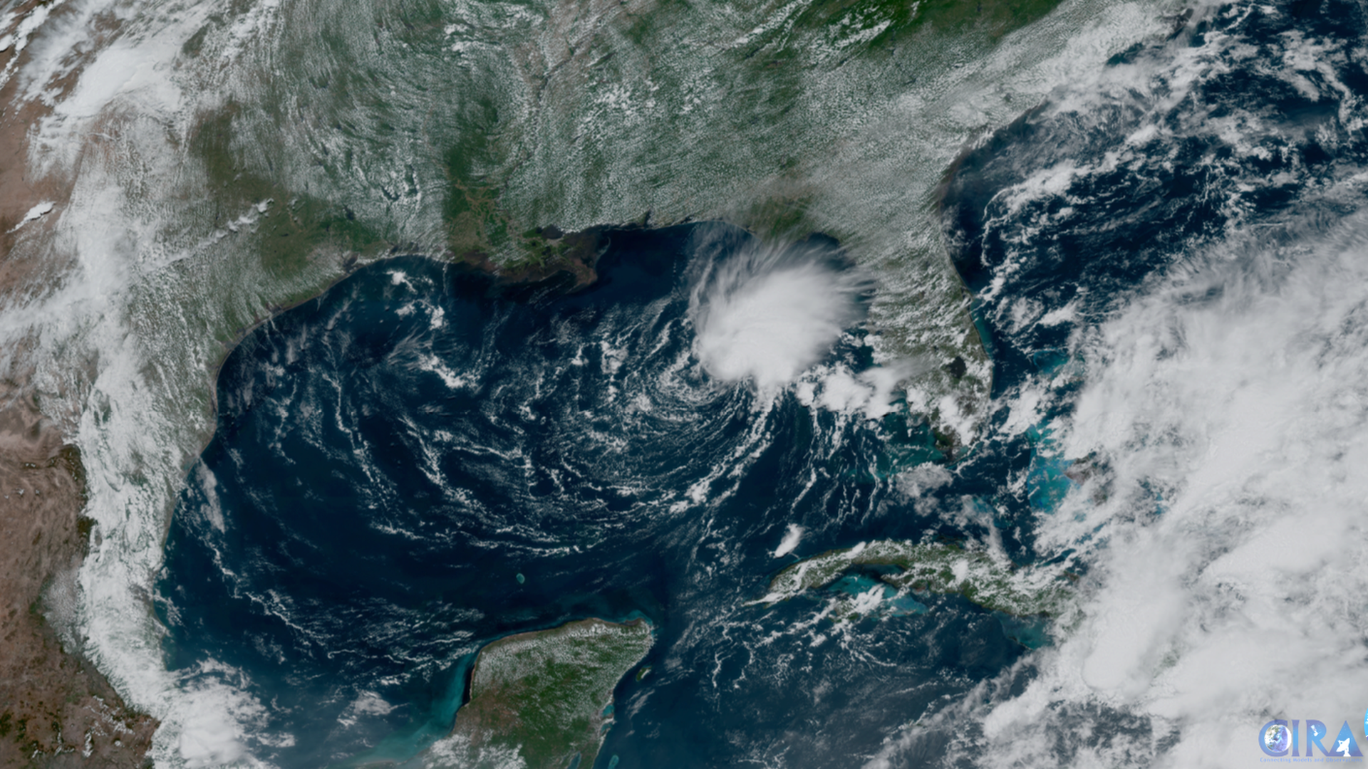 Tropical Storm Arlene in the the east-central Gulf of Mexico viewed from a satellite on June 2.