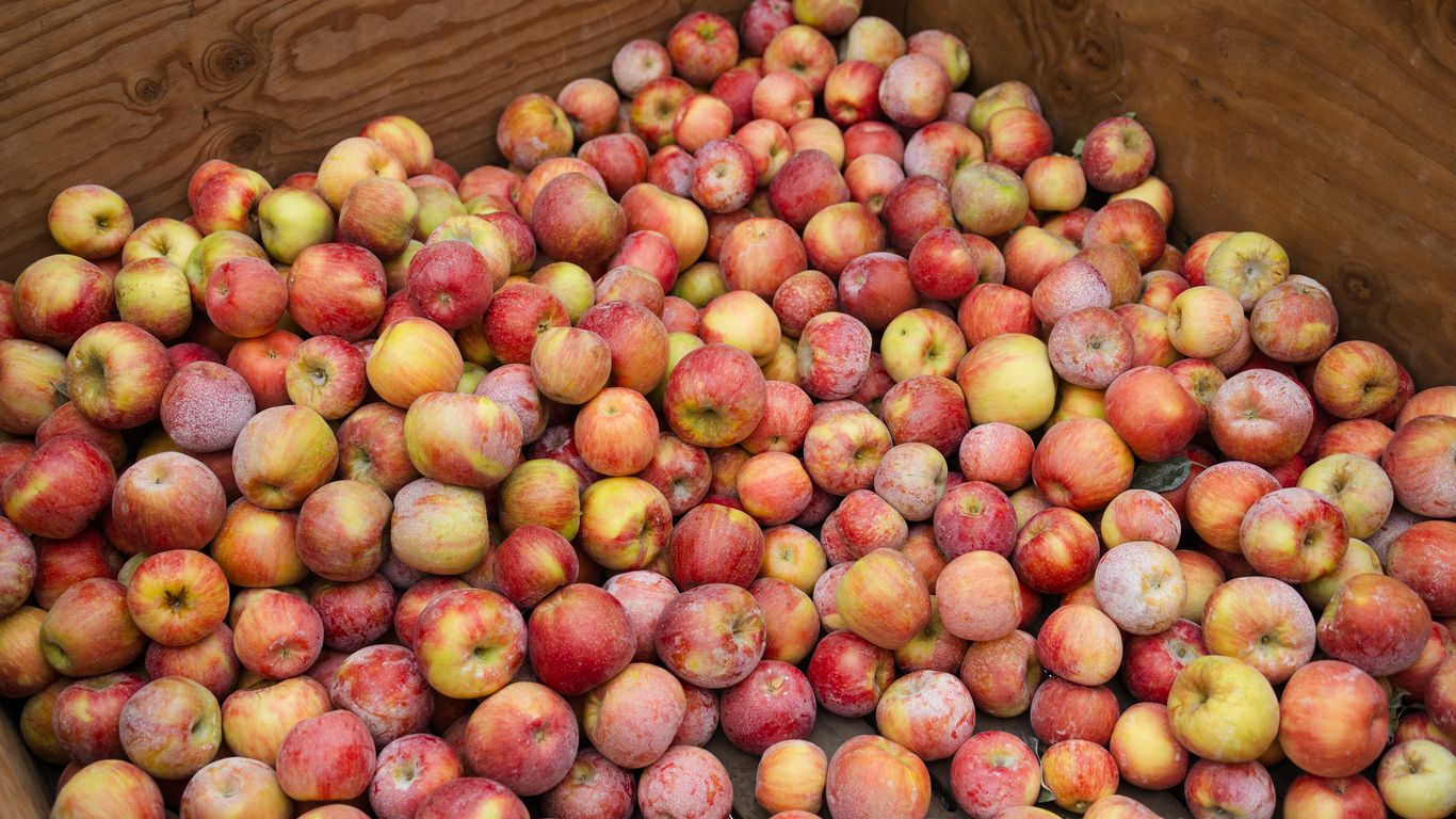 Brewing Locally Image