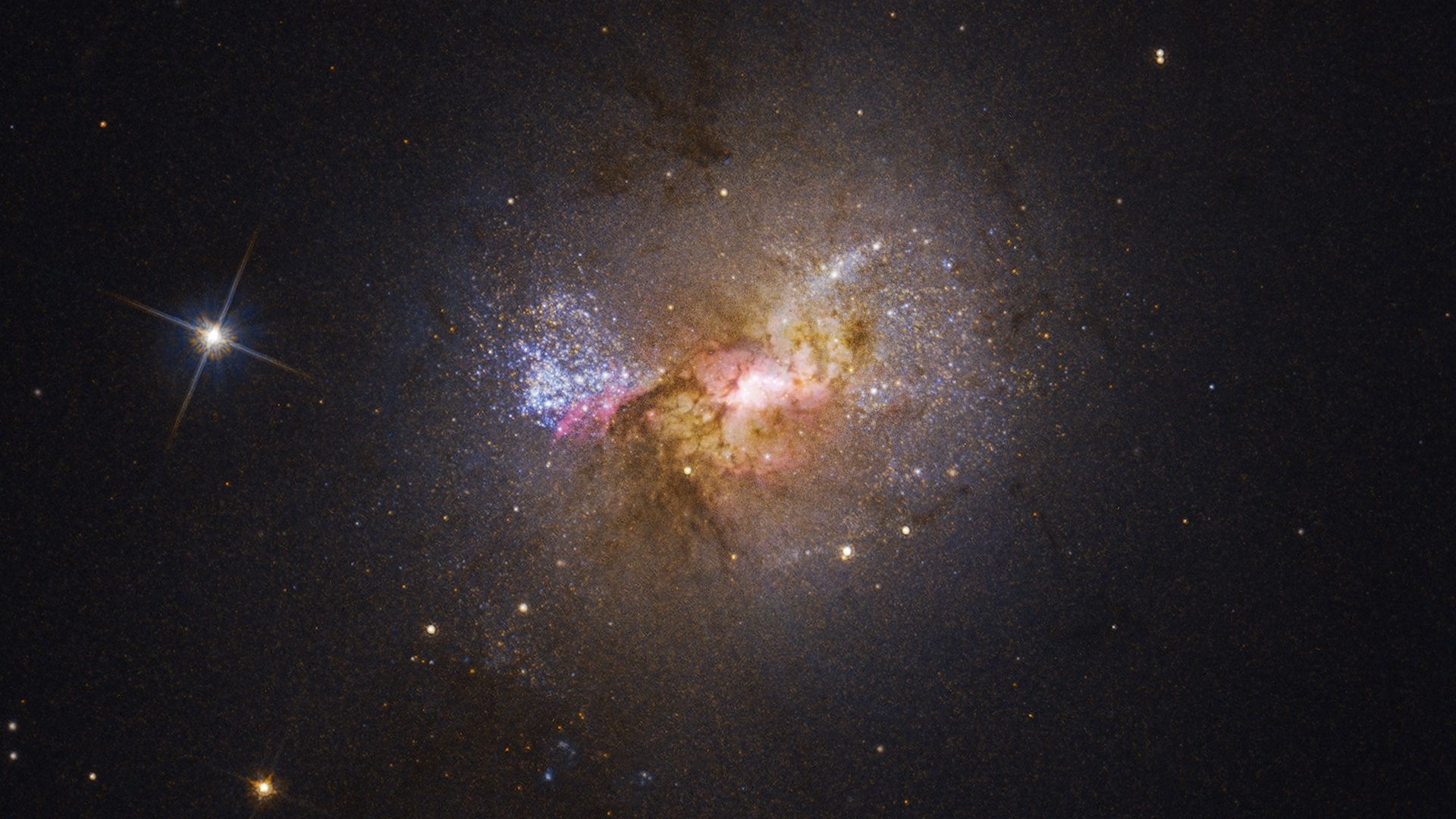 Clouds surrounding a black hole and bursting star formation in blue, red and gold
