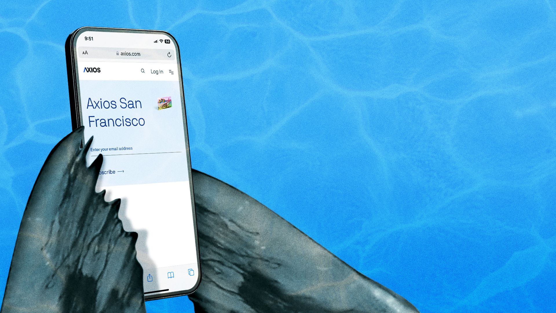 Illustration of seal flippers reading Axios San Francisco on his phone.