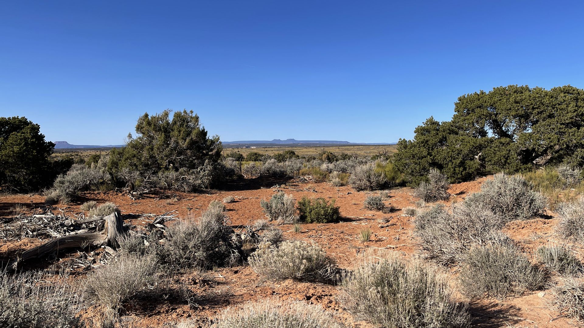 The Bears Ears Mountains outside of Blanding, Utah, in April 2021.
