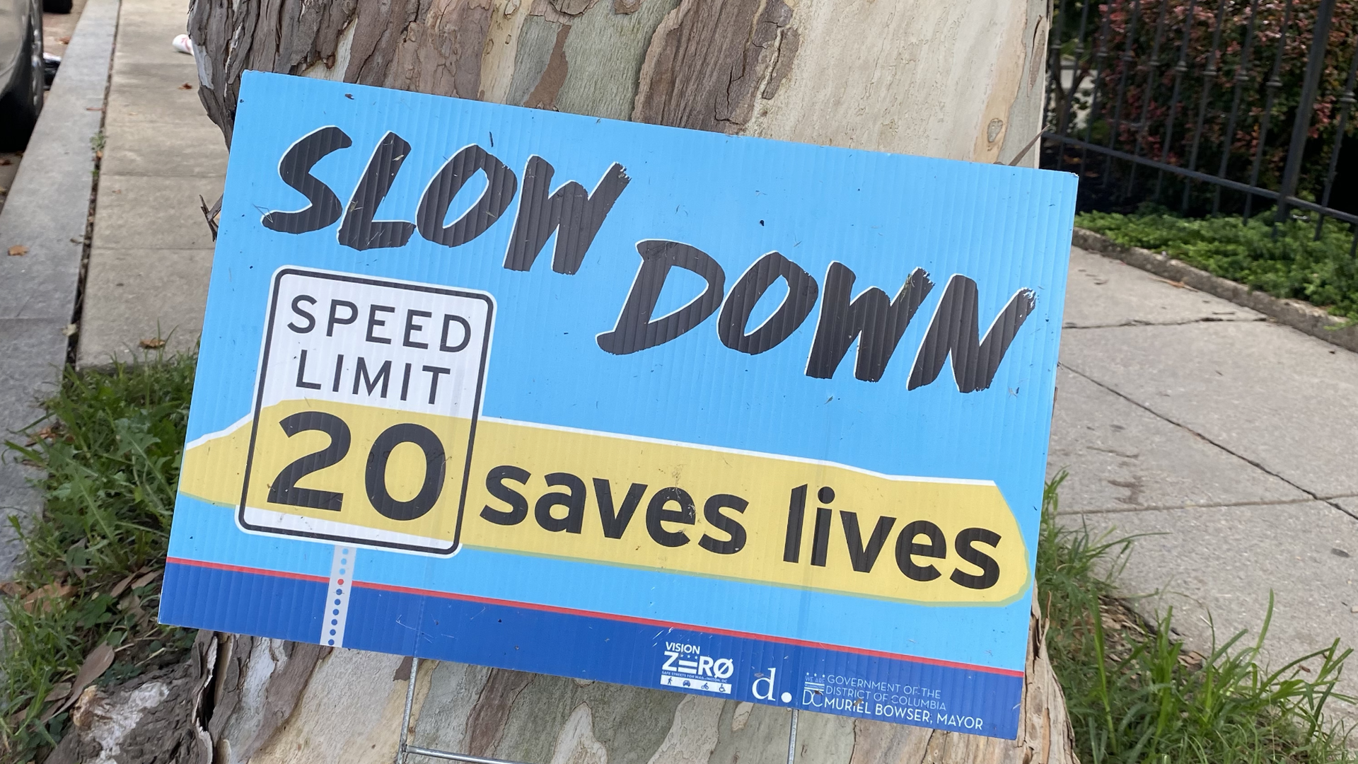 Blue campaign style sign that reads "Slow down 20 (speed limit) saves lives."