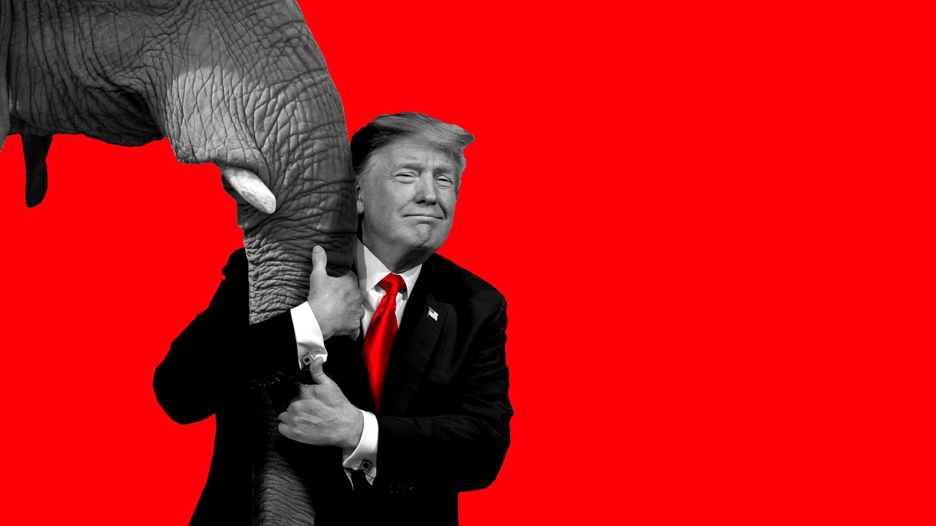 Illustration of President Trump hugging an elephant trunk