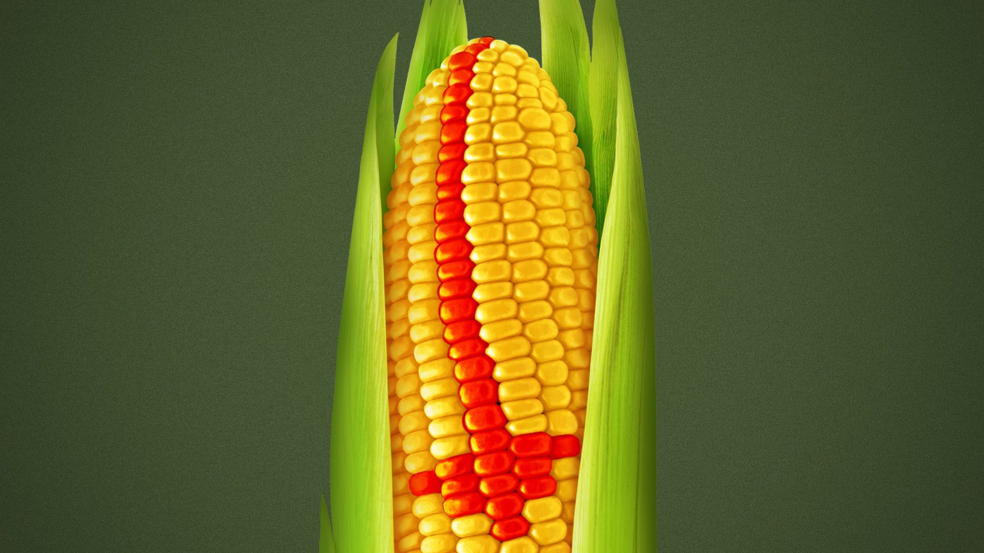 Illustration of an ear of corn with red kernels forming a down arrow.