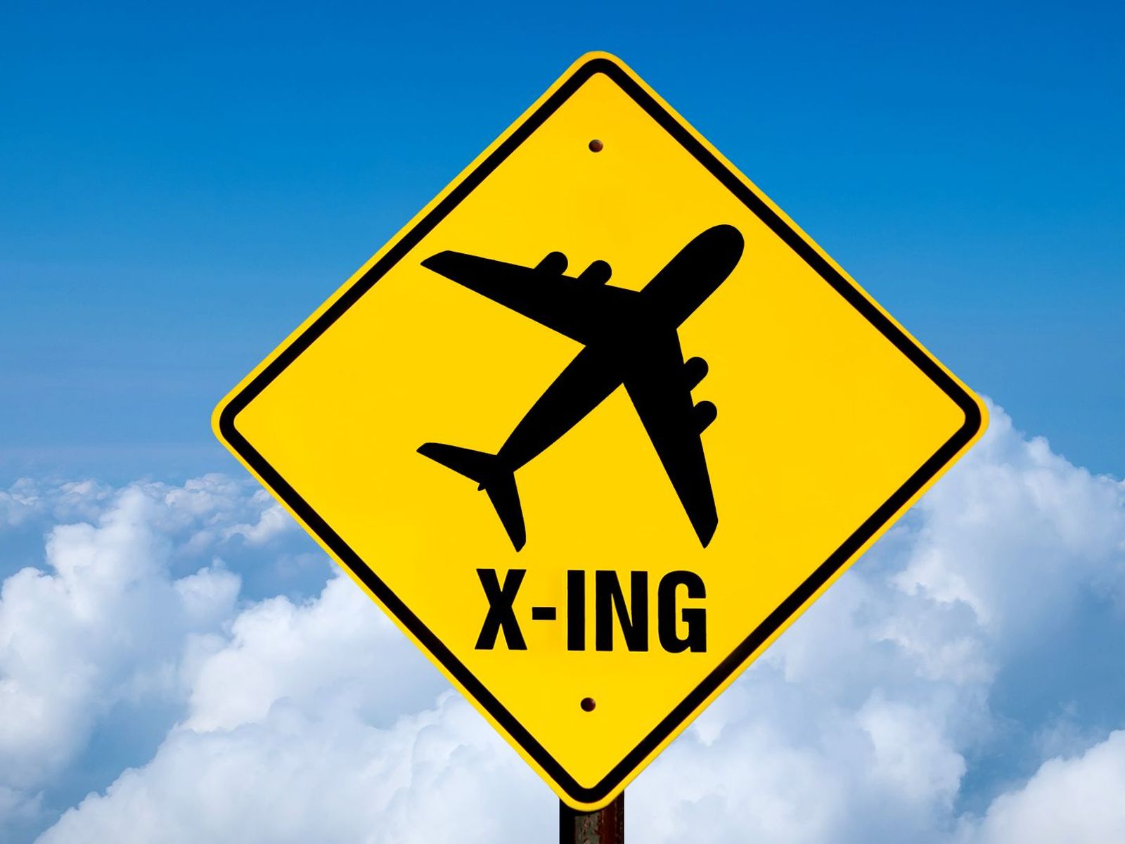 Charted: A Columbus, Ohio, airplane hits birds more often