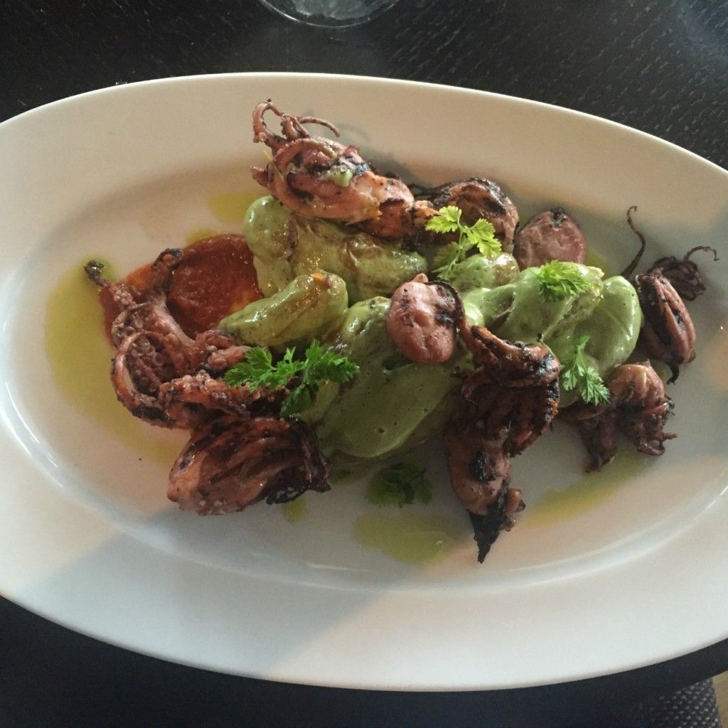 Vivace grilled octopus