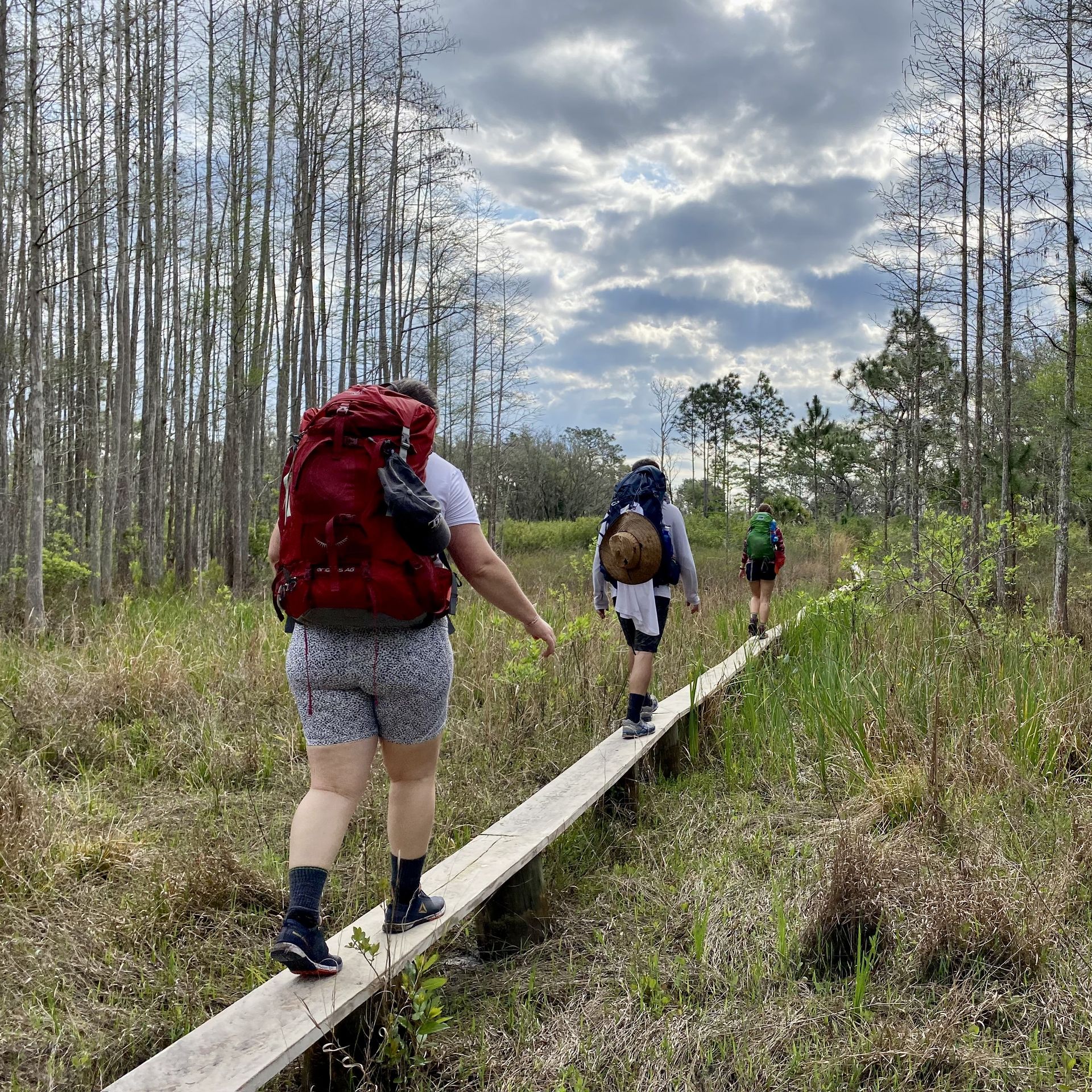 Hiking in Destin – Florida Hikes