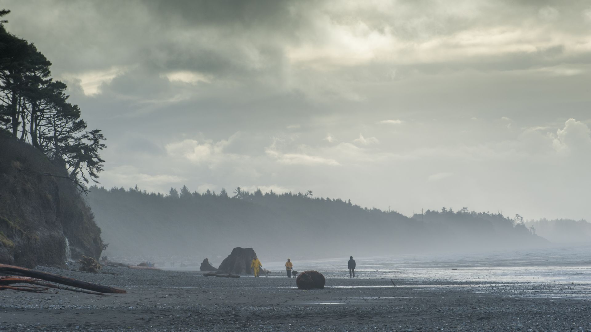 People walking on a beach shrouded with mist.