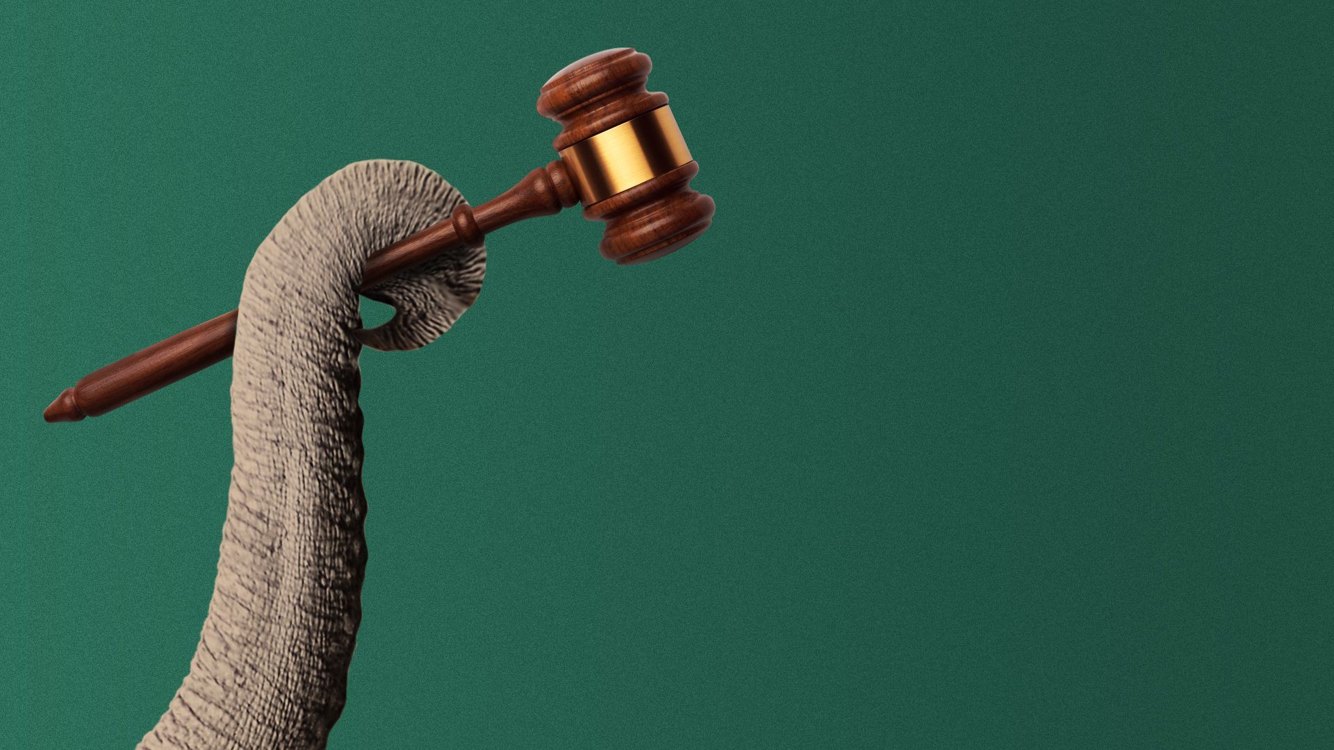 Illustration of an elephant's trunk holding a gavel.