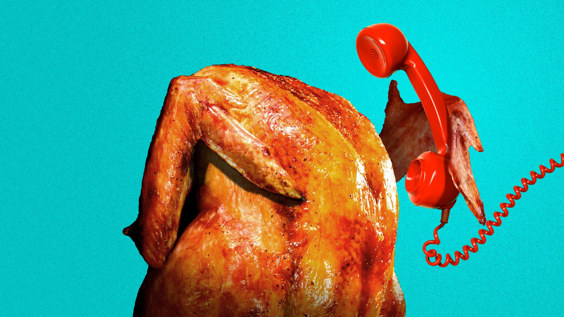 Illustration of a roast turkey making a call to a hotline on a red landline telephone.