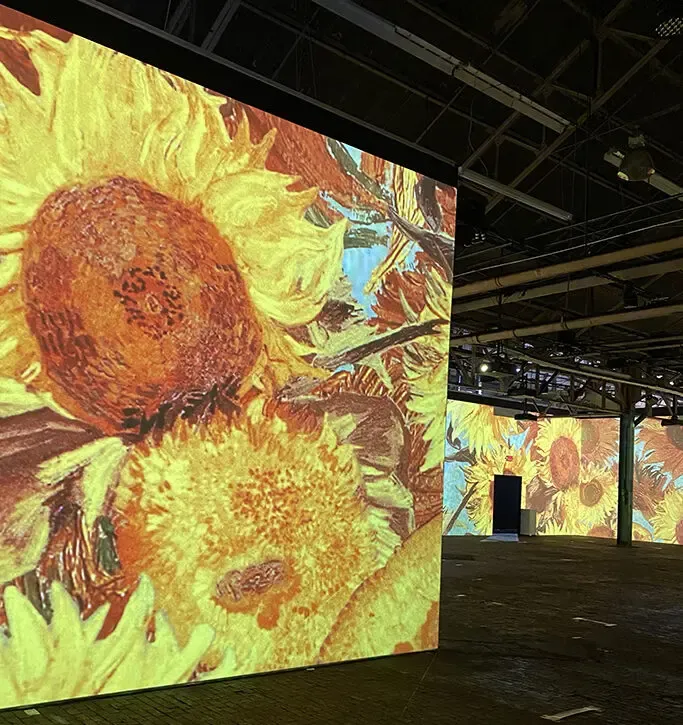 Van Gogh starry night, immersive exhibit, camp north end