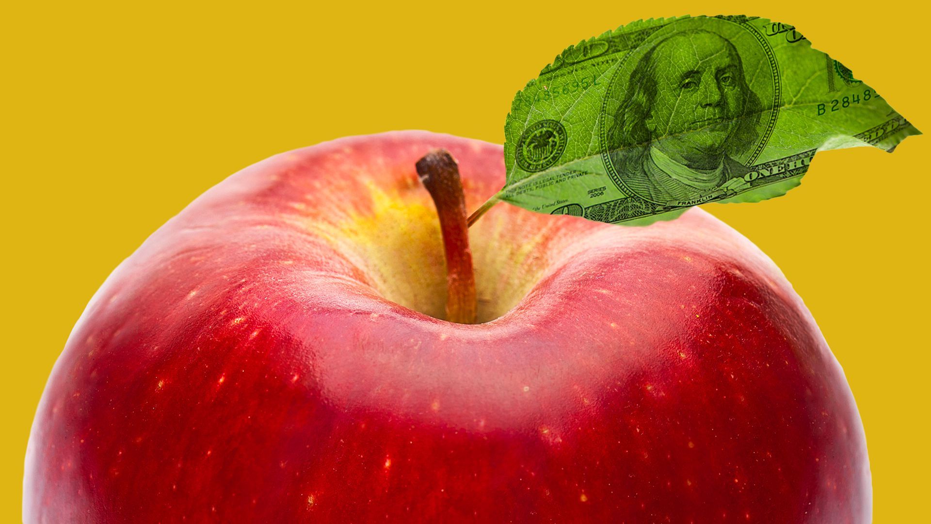 Illustration of a red apple with a hundred dollar bill for a leaf. 