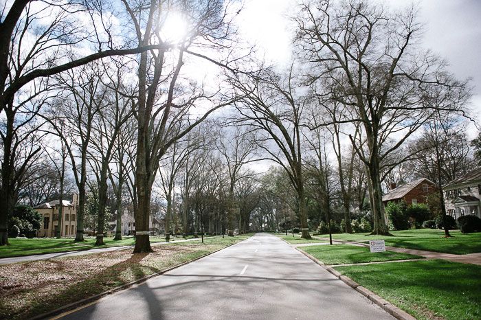 Queens Road West sun through trees