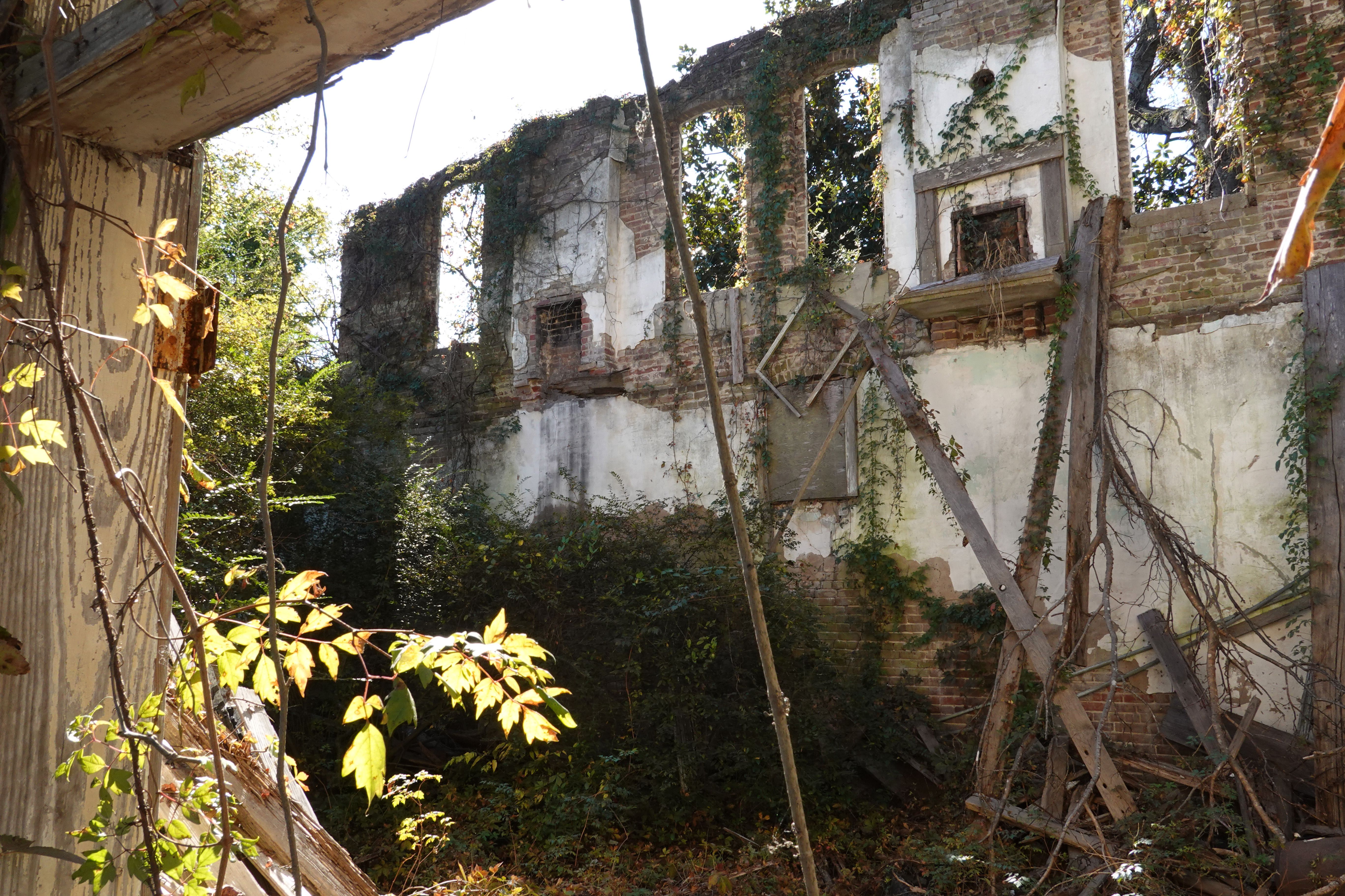  Vegetation covers the remains of the building that once housed Bryant's Grocery in Money, Mississippi.