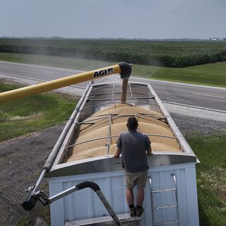 Farmers will need a bailout this year, Thune says