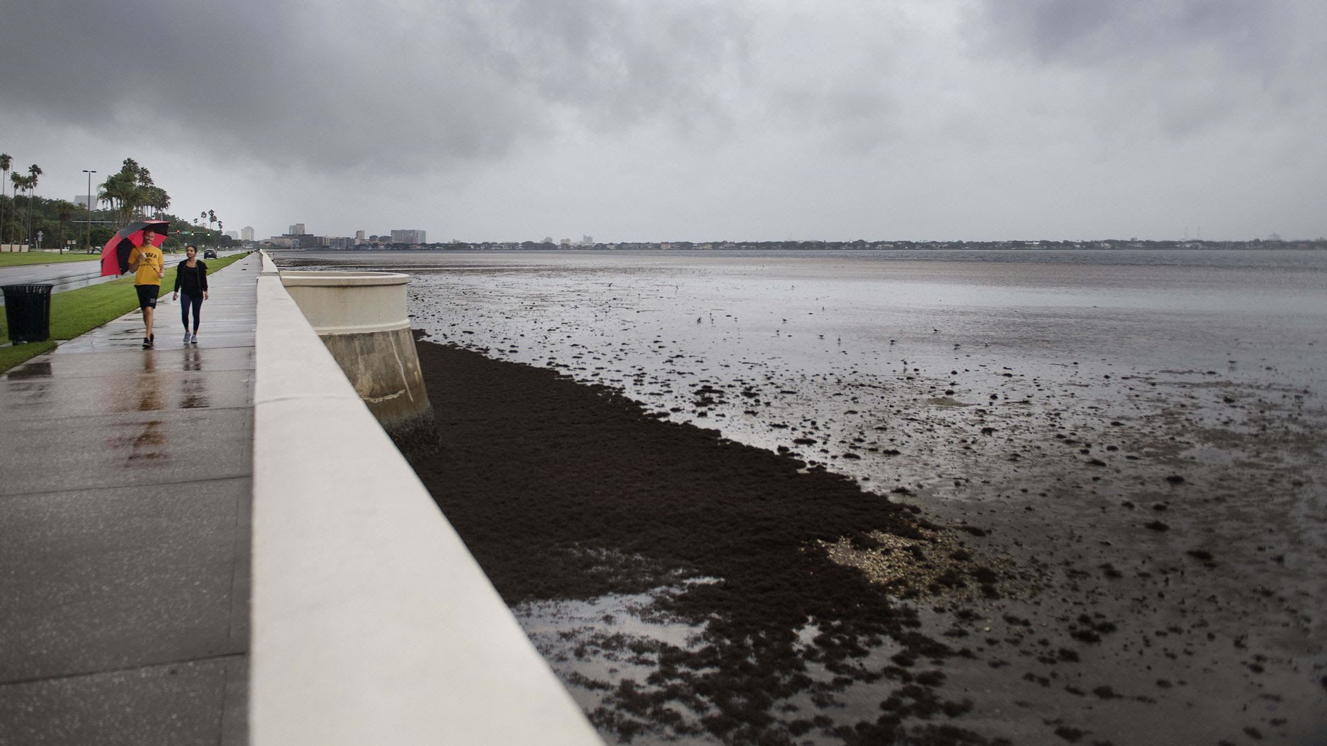 People walking along a shore.