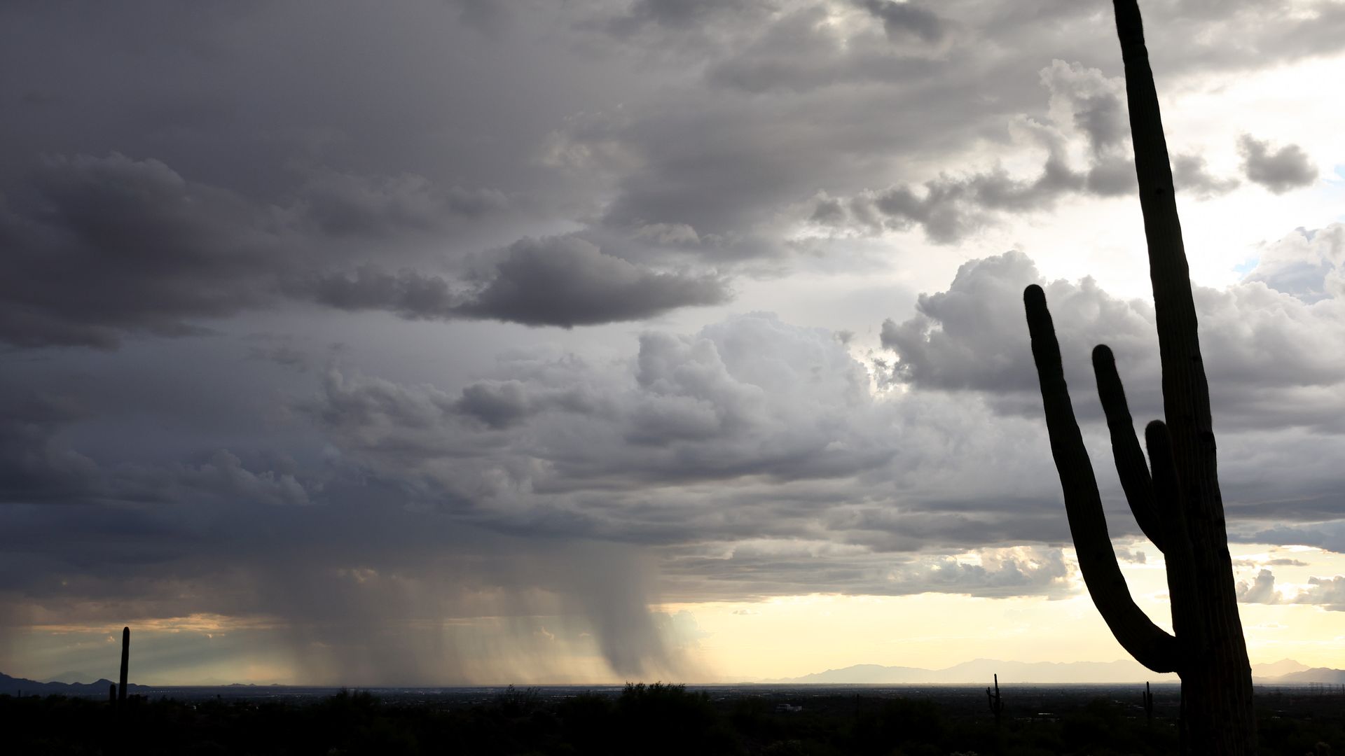 A monsoon storm with a saguaro cactus in the foreground. 