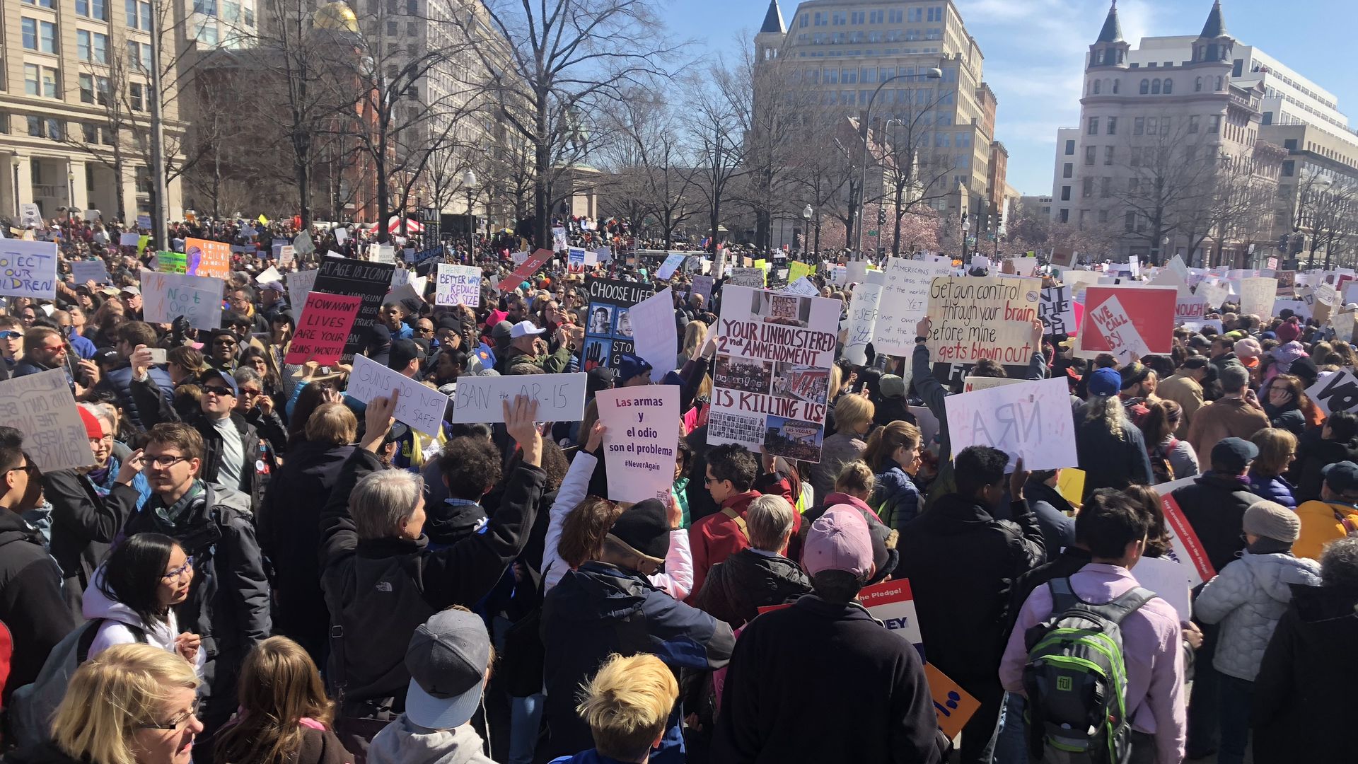 Protestor at D.C.'s March for our Lives.
