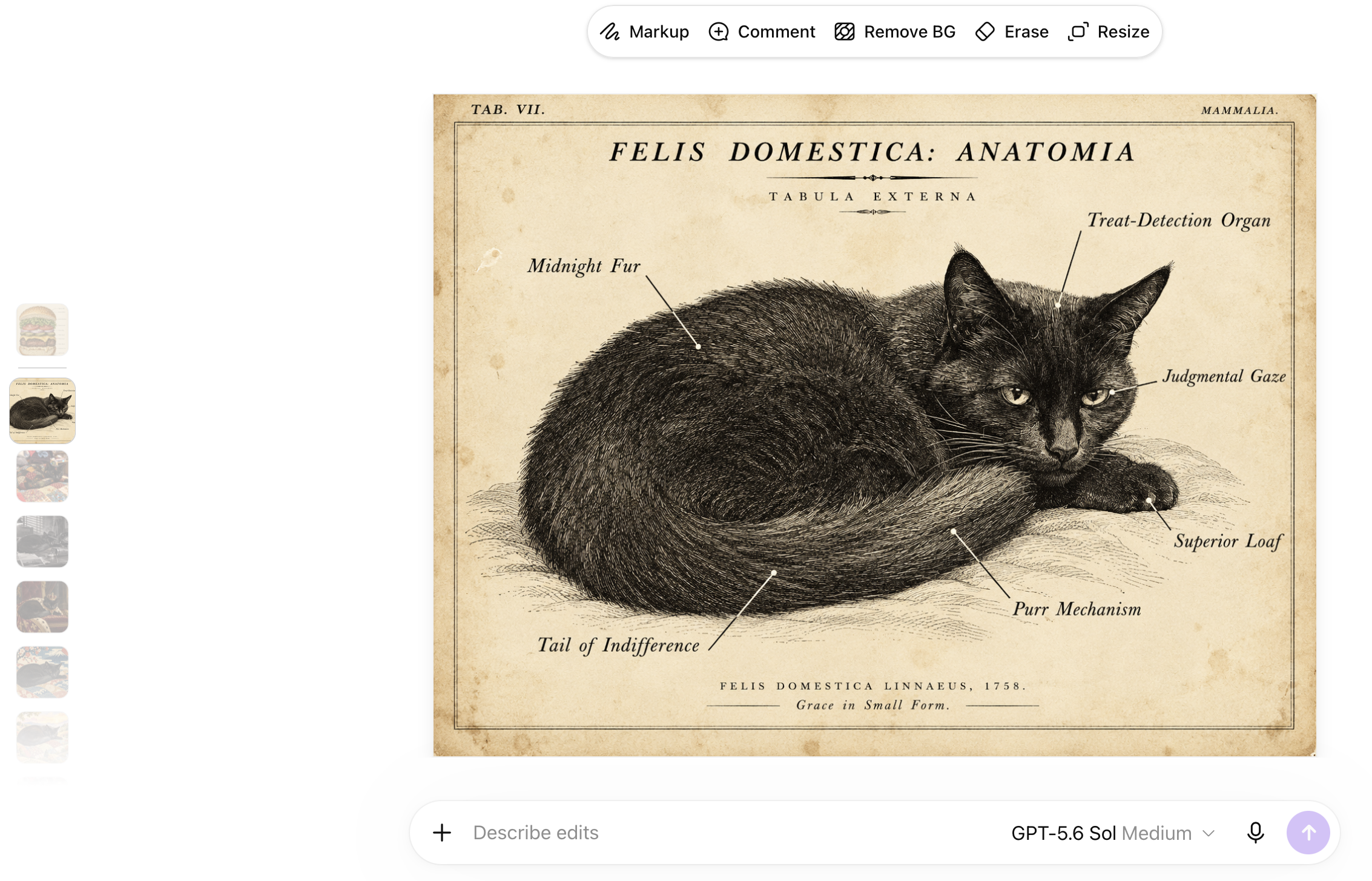 An AI-generated image of a black cat with anatomical descriptions including "tail of indifference," "judgmental gaze" and "treat detection organ"