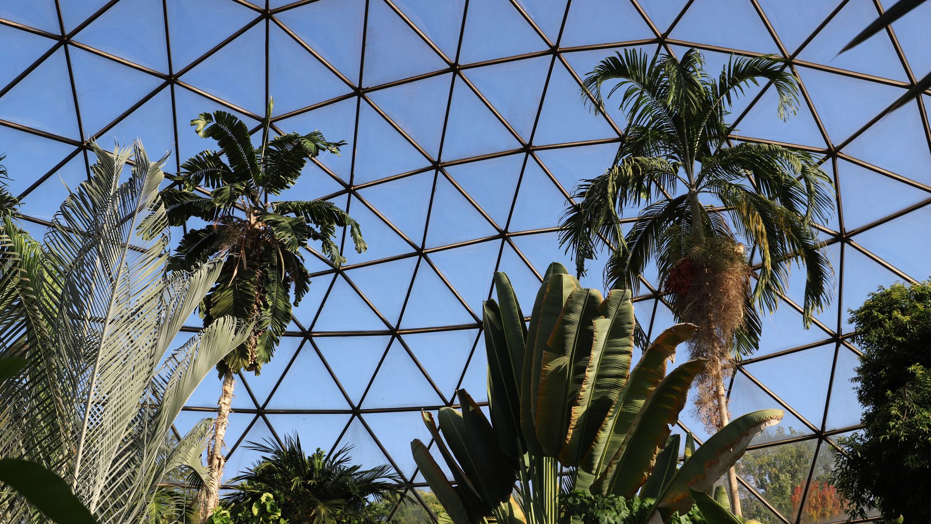Inside a glass geodesic dome, triangular metal frames create a lattice against a blue sky, with lush tropical plants and palm trees filling the space.