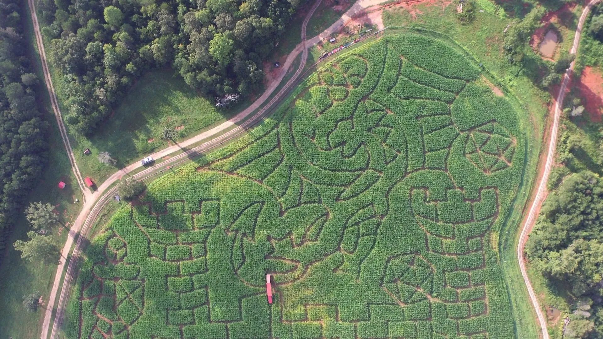 Hall Family Farm's corn maze will be Dungeons and Dragon themed for 2024. Photo: Kevin Hall/ Hall Family Farm