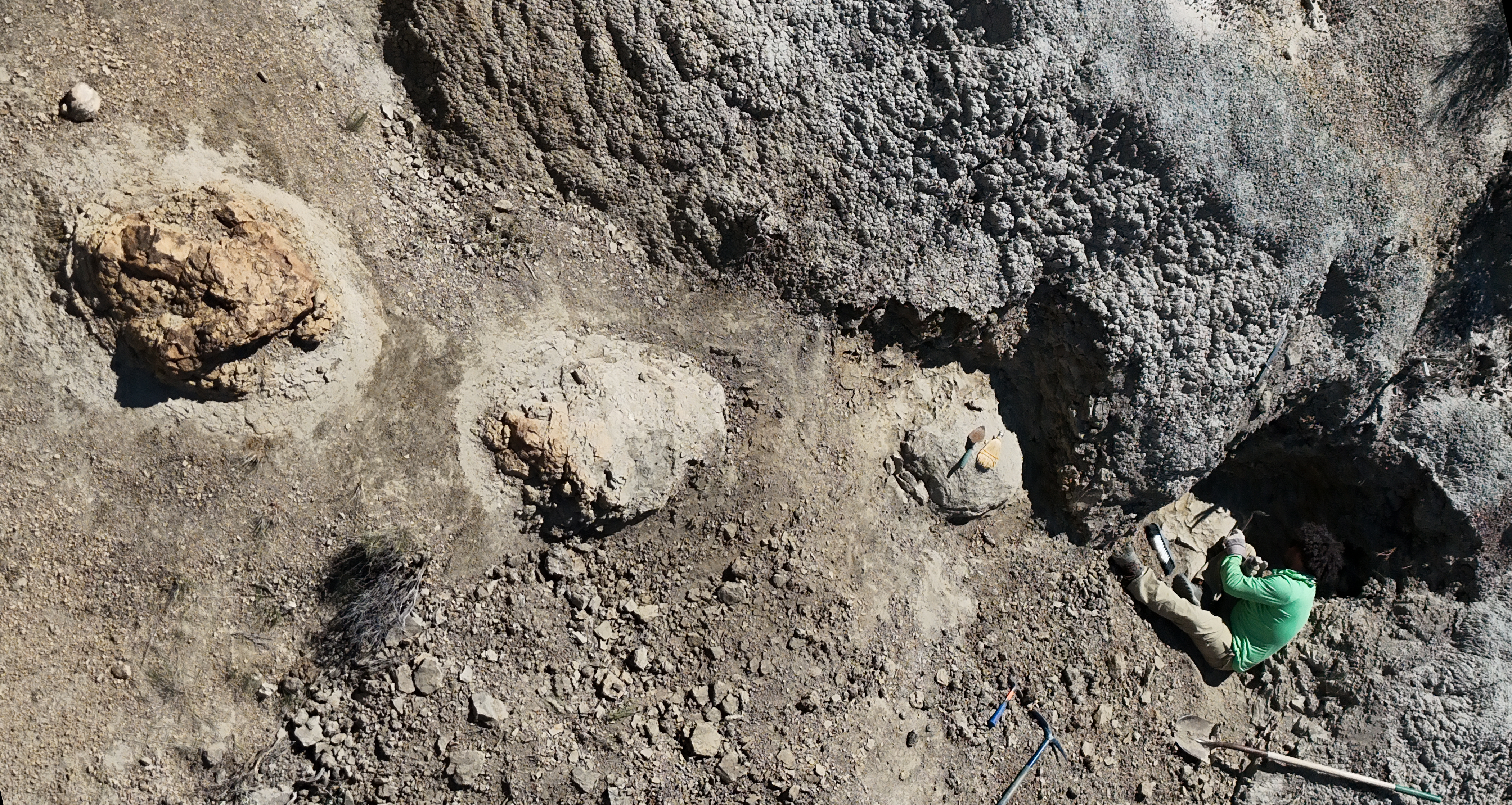 Overhead view of a rocky excavation site with brown-gray dirt and a large circular rock on the left; a person in green and tan clothing stands near digging tools at the bottom right.