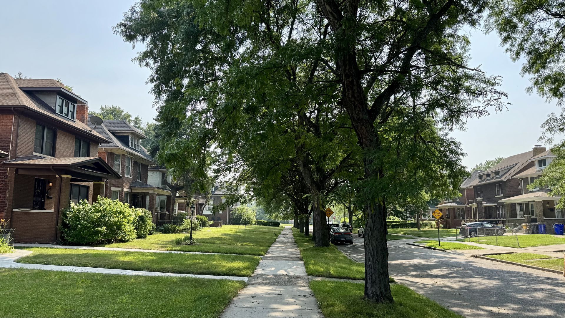 Sunny suburban street lined with brick houses on both sides; a large central tree shades the sidewalk, green lawns, and parked cars under a clear blue sky.