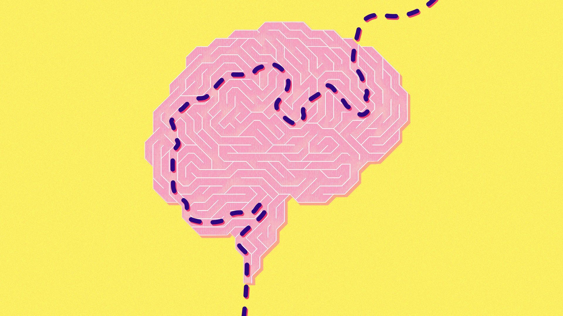 Illustration of a brain-shaped maze with the correct path highlighted.