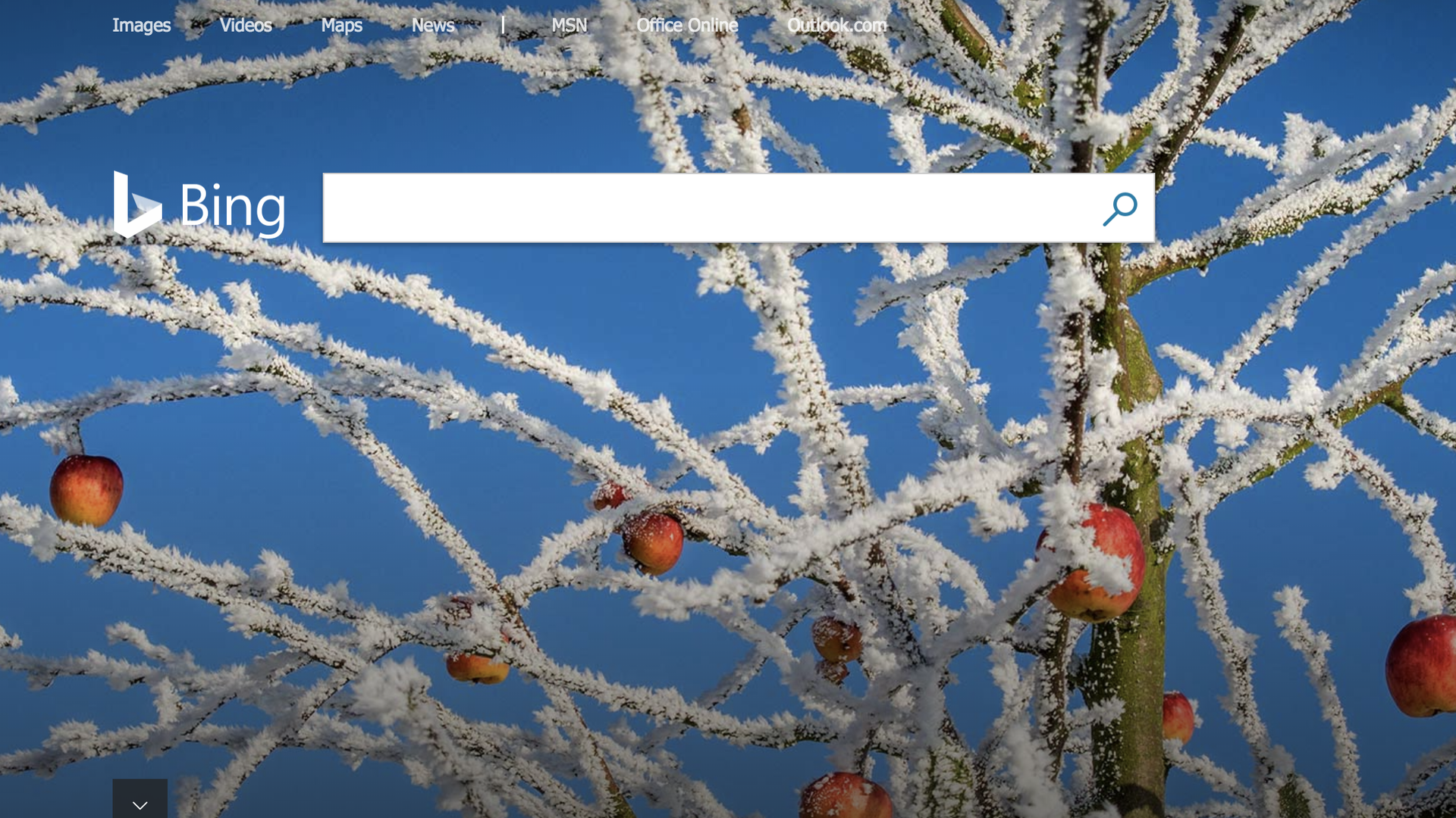 Microsoft's Bing search engine