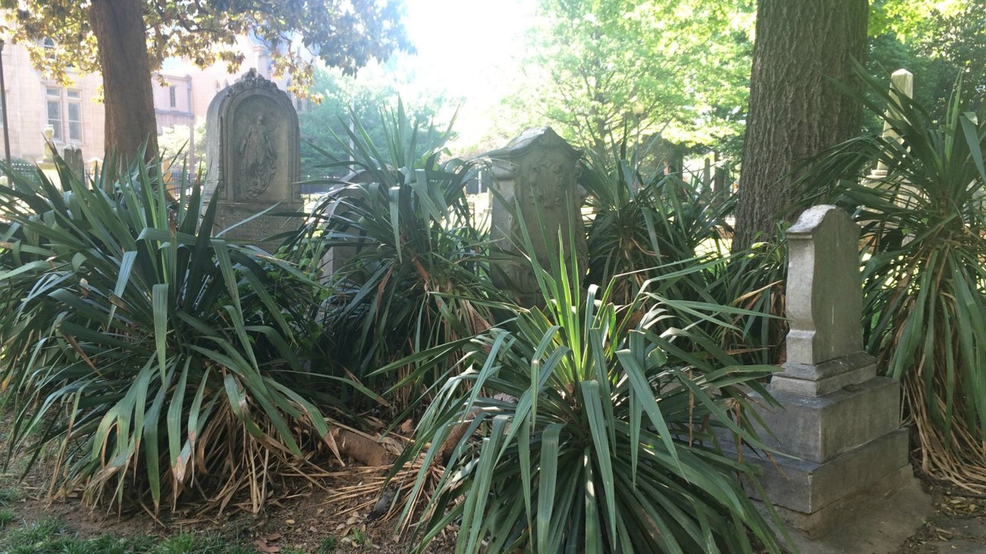 settlers cemetery charlotte