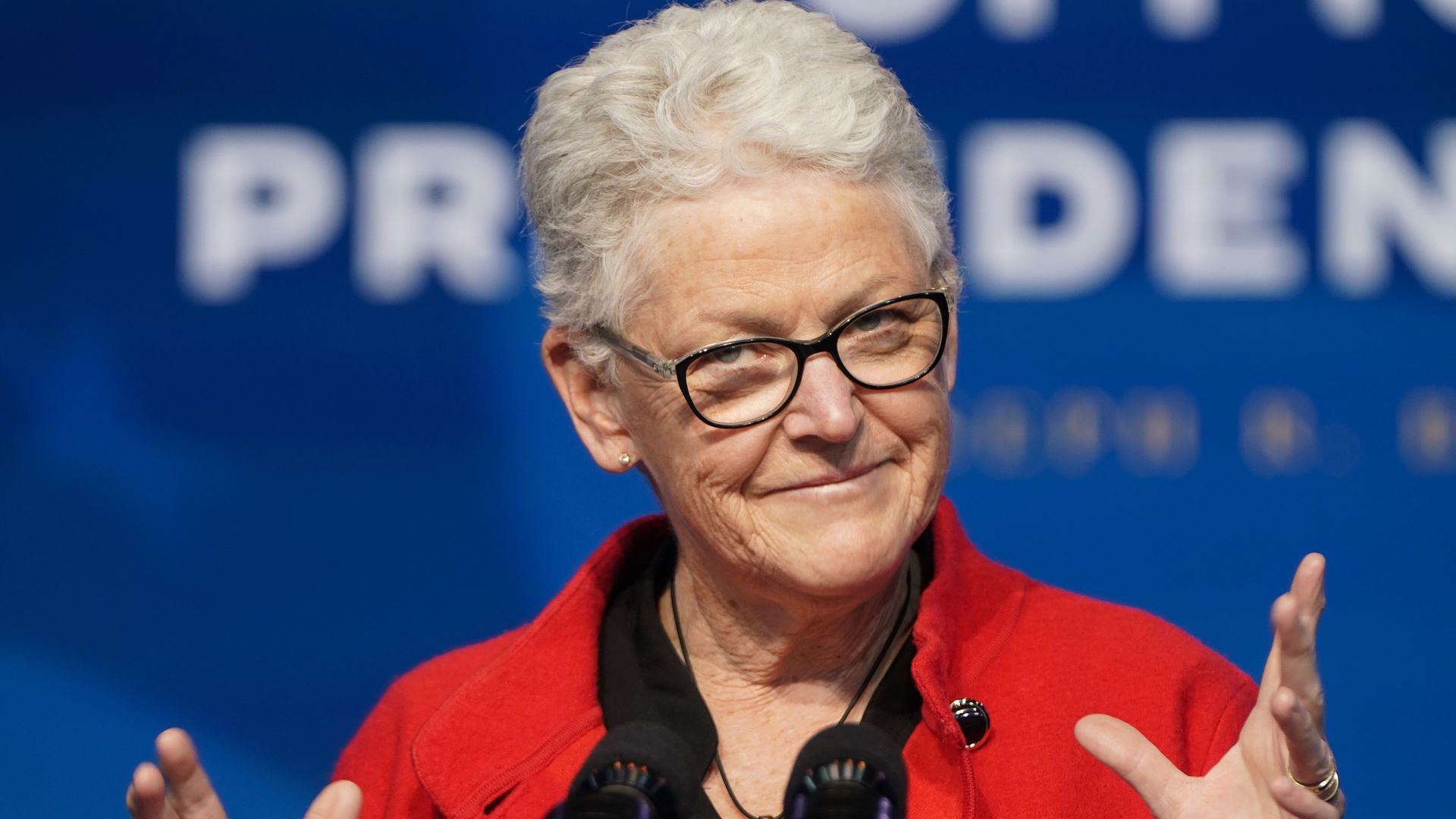 White House climate advisor Gina McCarthy.