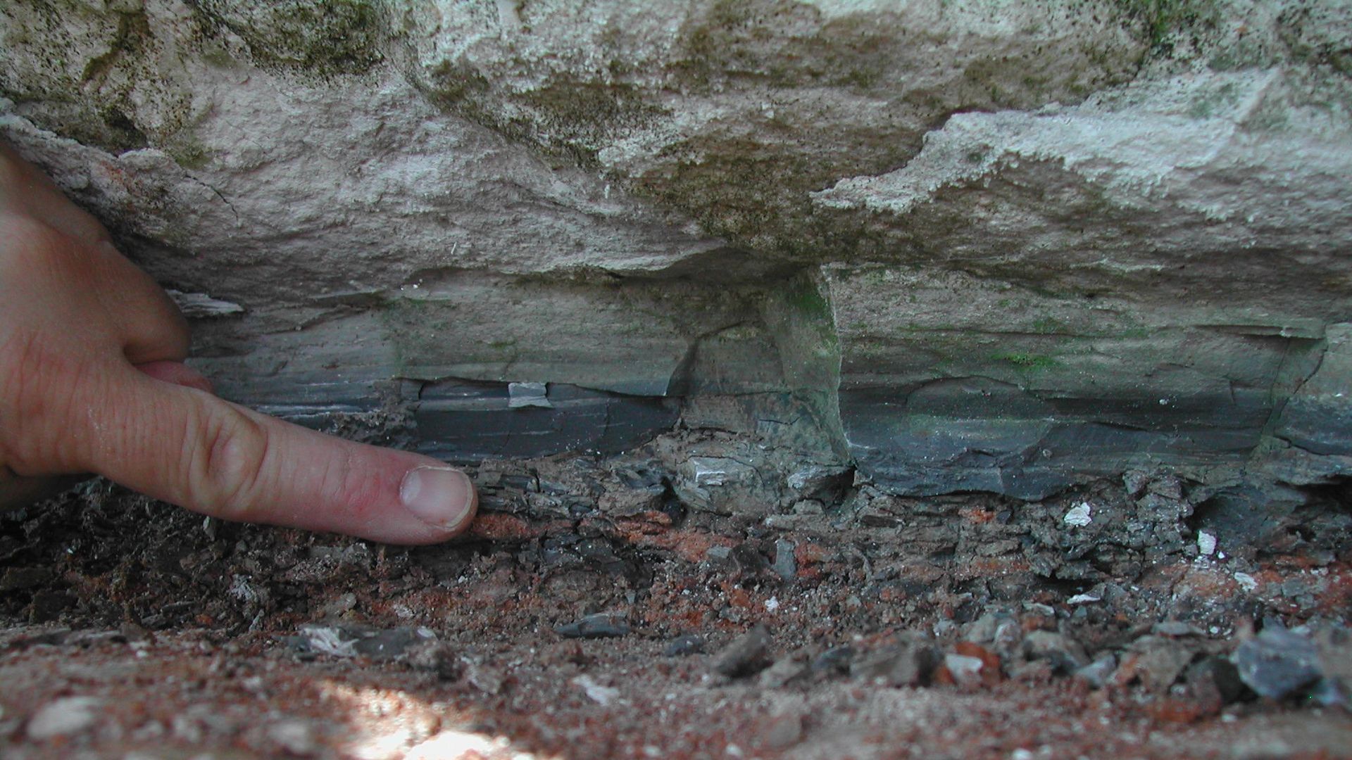 Photograph of the 66-million-year-old Cretaceous-Paleogene (K-Pg) boundary layer at Stevns Klint in Denmark.