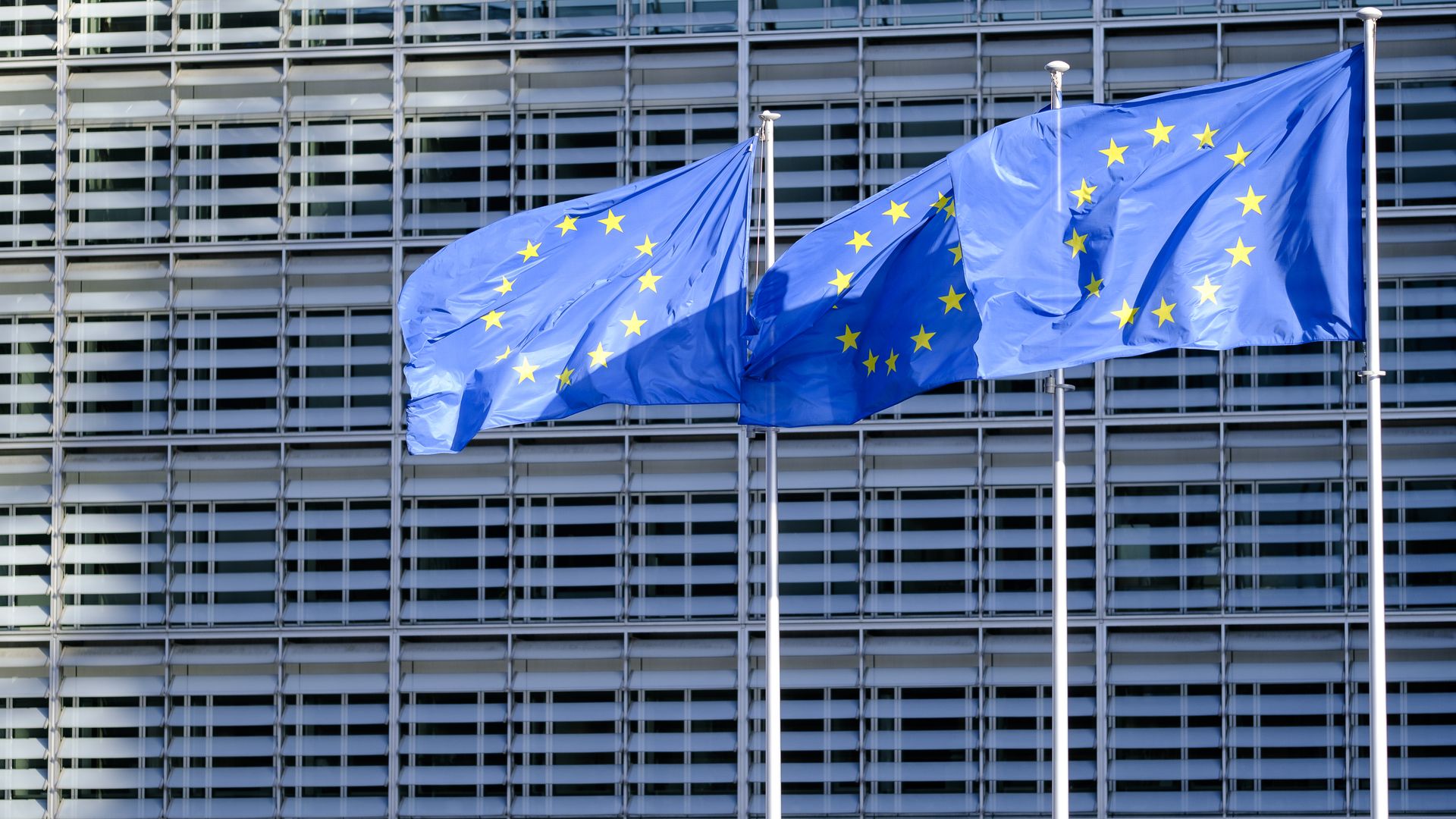 A photo of EU flags