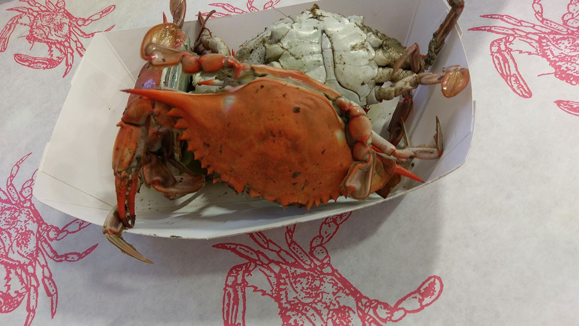 crabtoberfest-charlotte-carolina-food-market-unknown