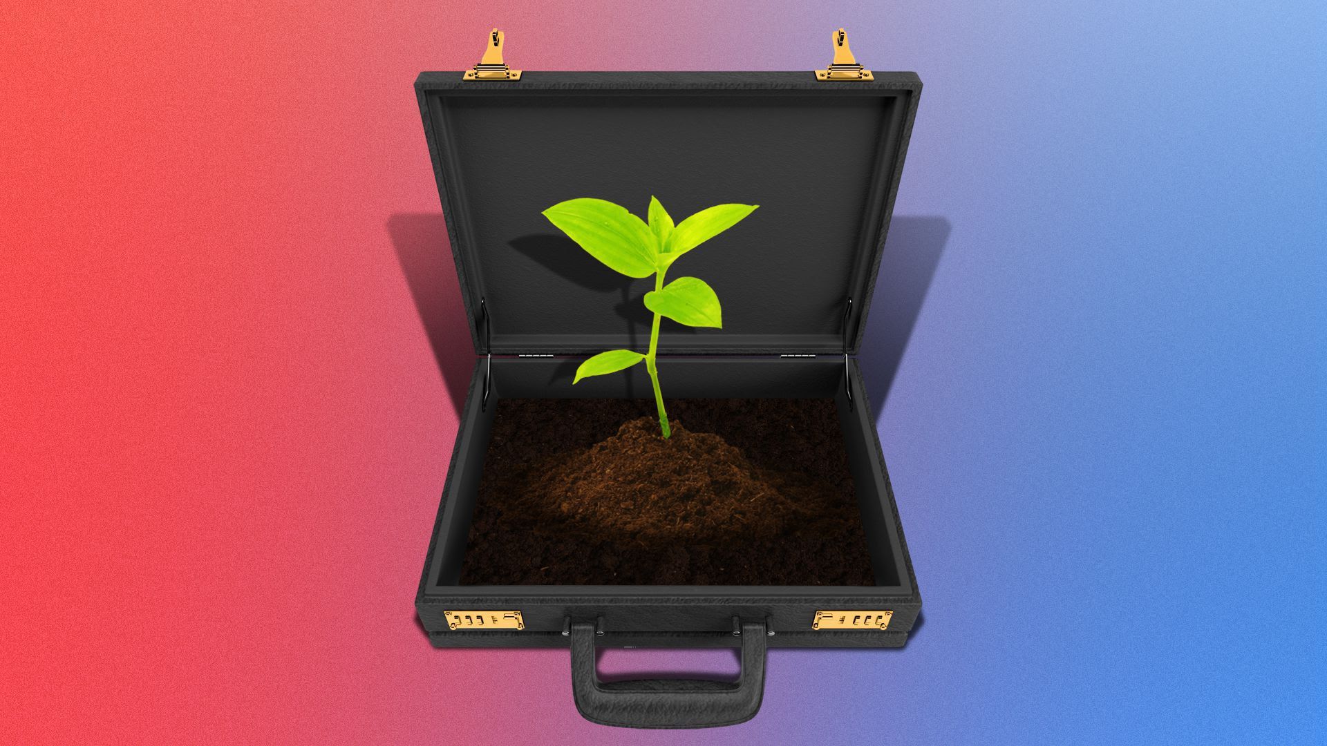 A sprig sprouting from a pile of soil in a briefcase