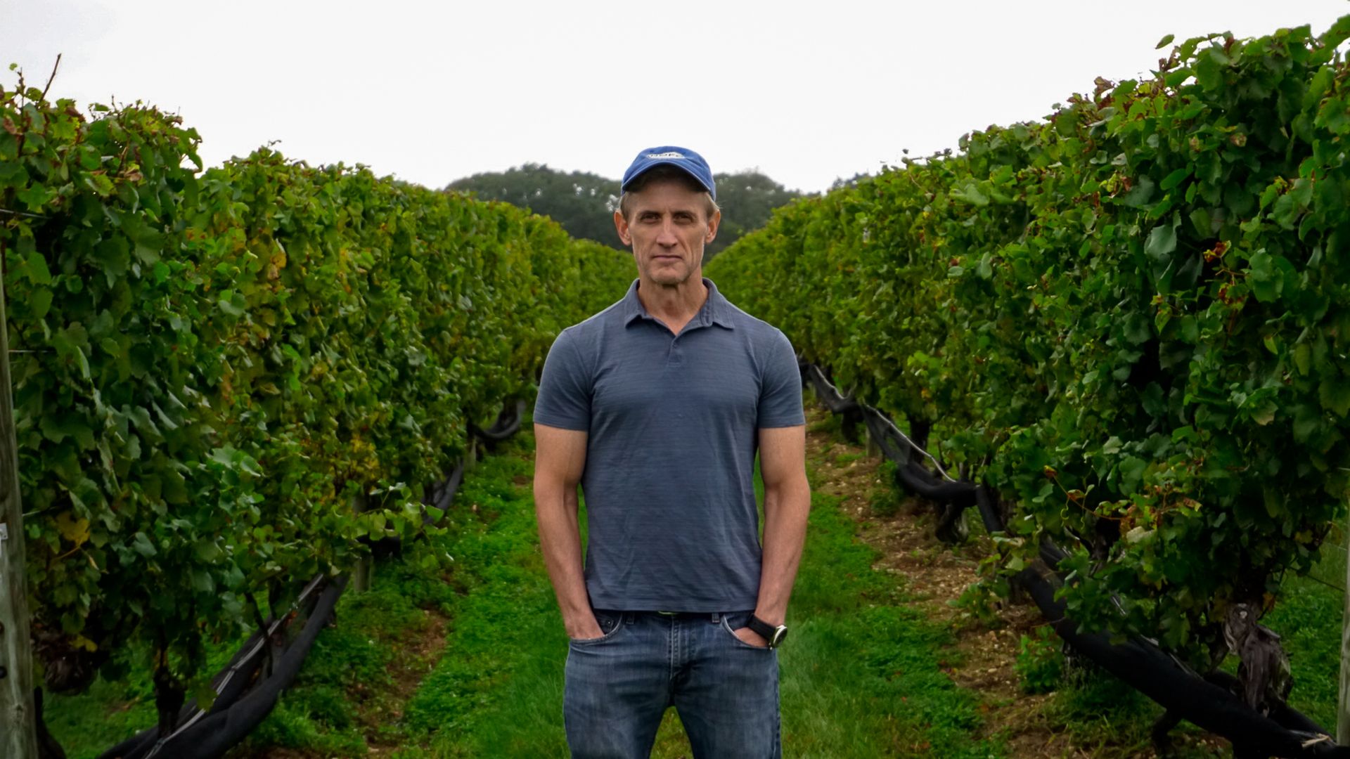 Photo of Dan Abrams at Ev&Em Vineyards on North Fork of Long Island in June 2024. Photo credit:  Ev&Em Vineyards